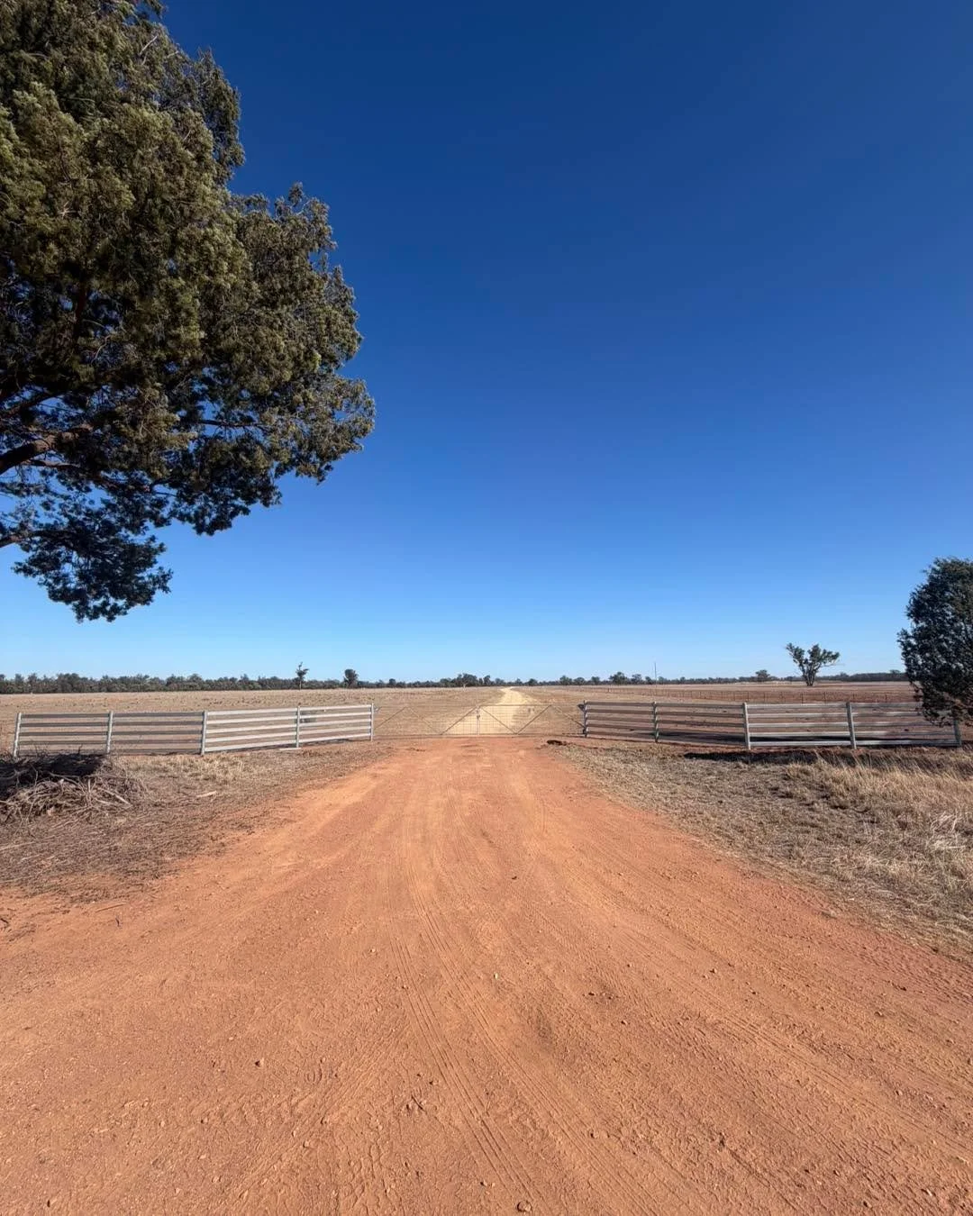 A five rail entrance completed at the end of last week outside of Narromine. Feel free to sing out if you&rsquo;re looking for something similar or another type of entrance way to upgrade your driveway.