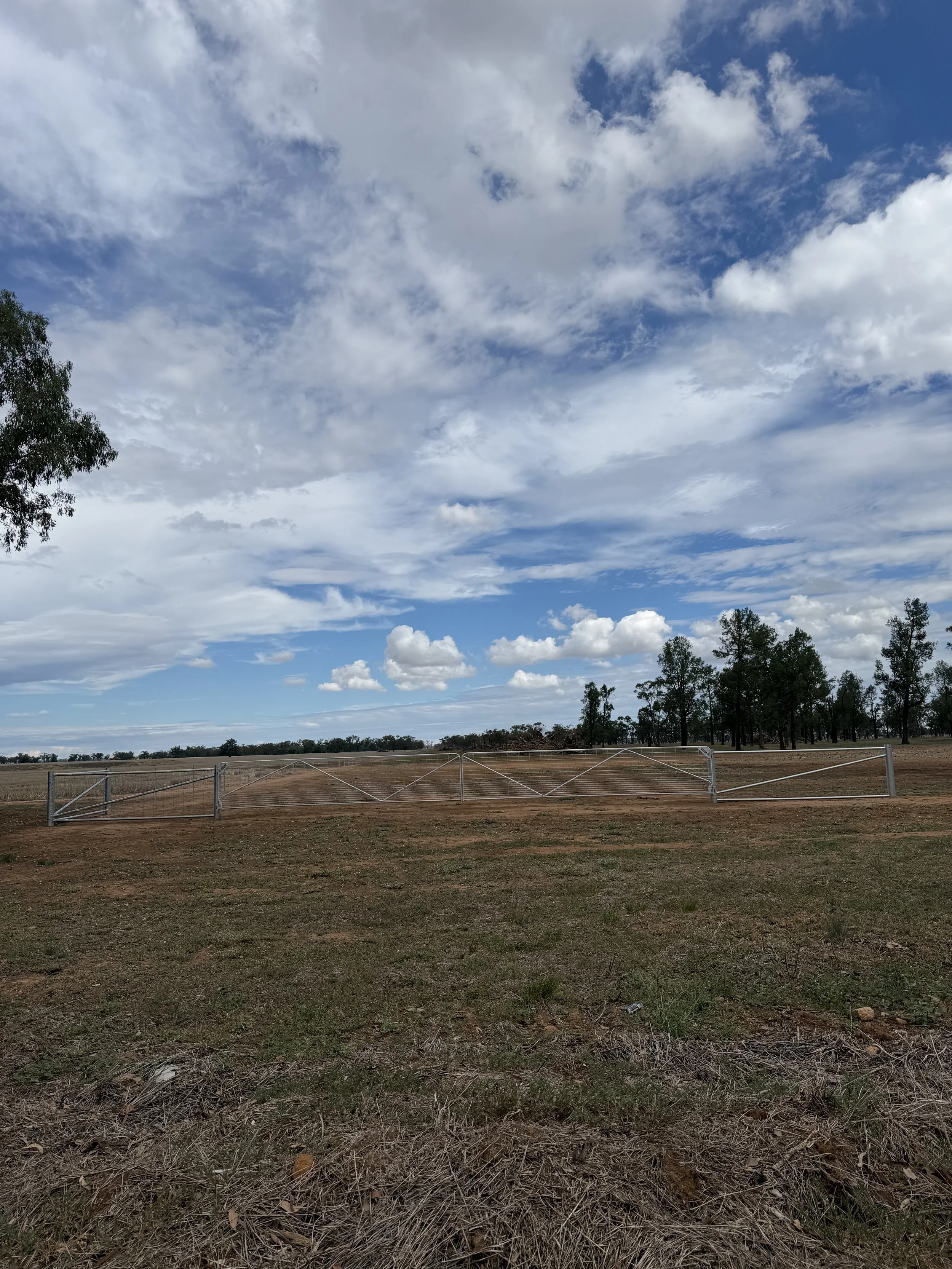 A fenced-off open field with trees in the background and a partly cloudy sky overhead.
