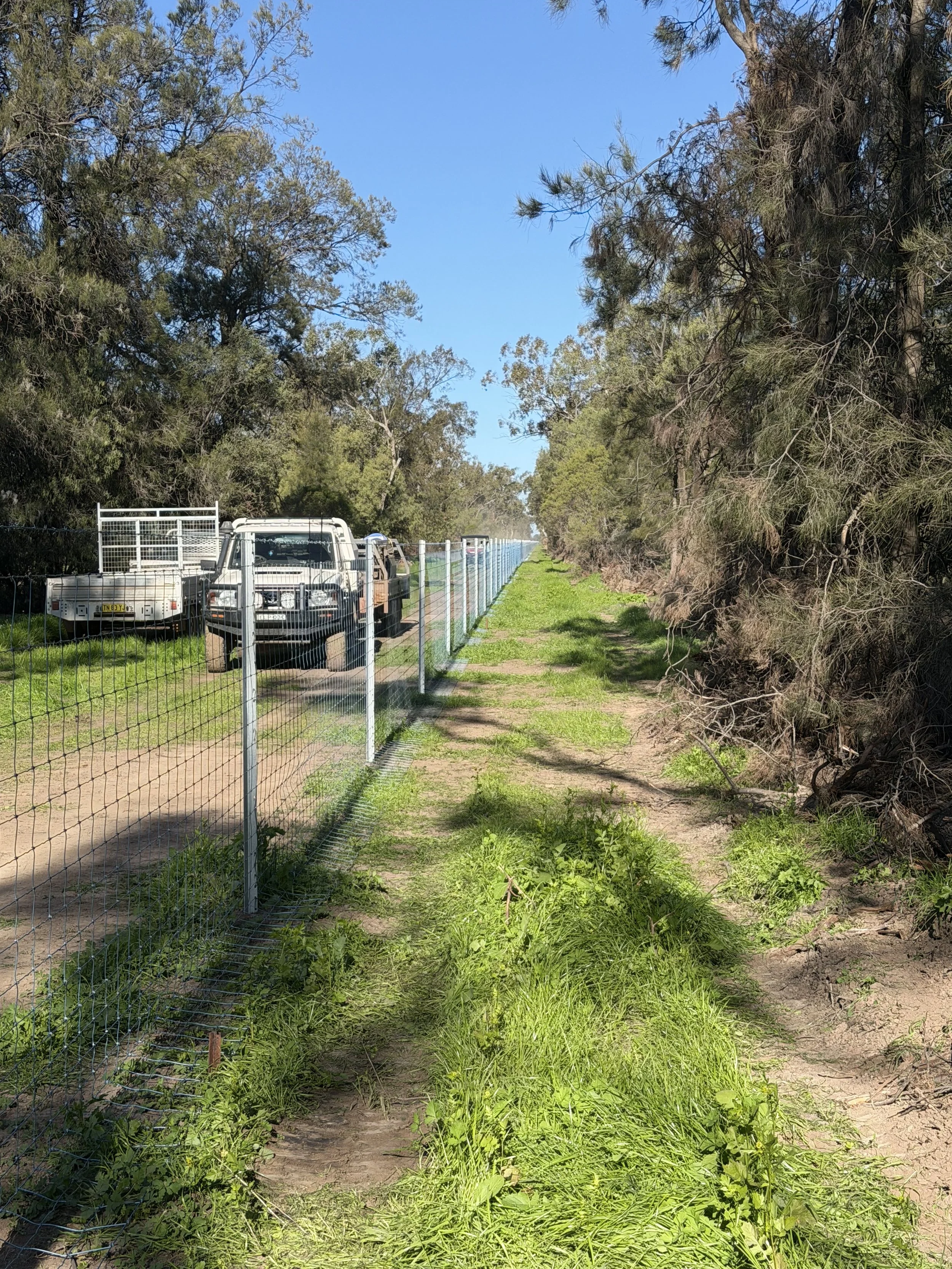 Exclusion Fence near Trangie and Narromine NSW