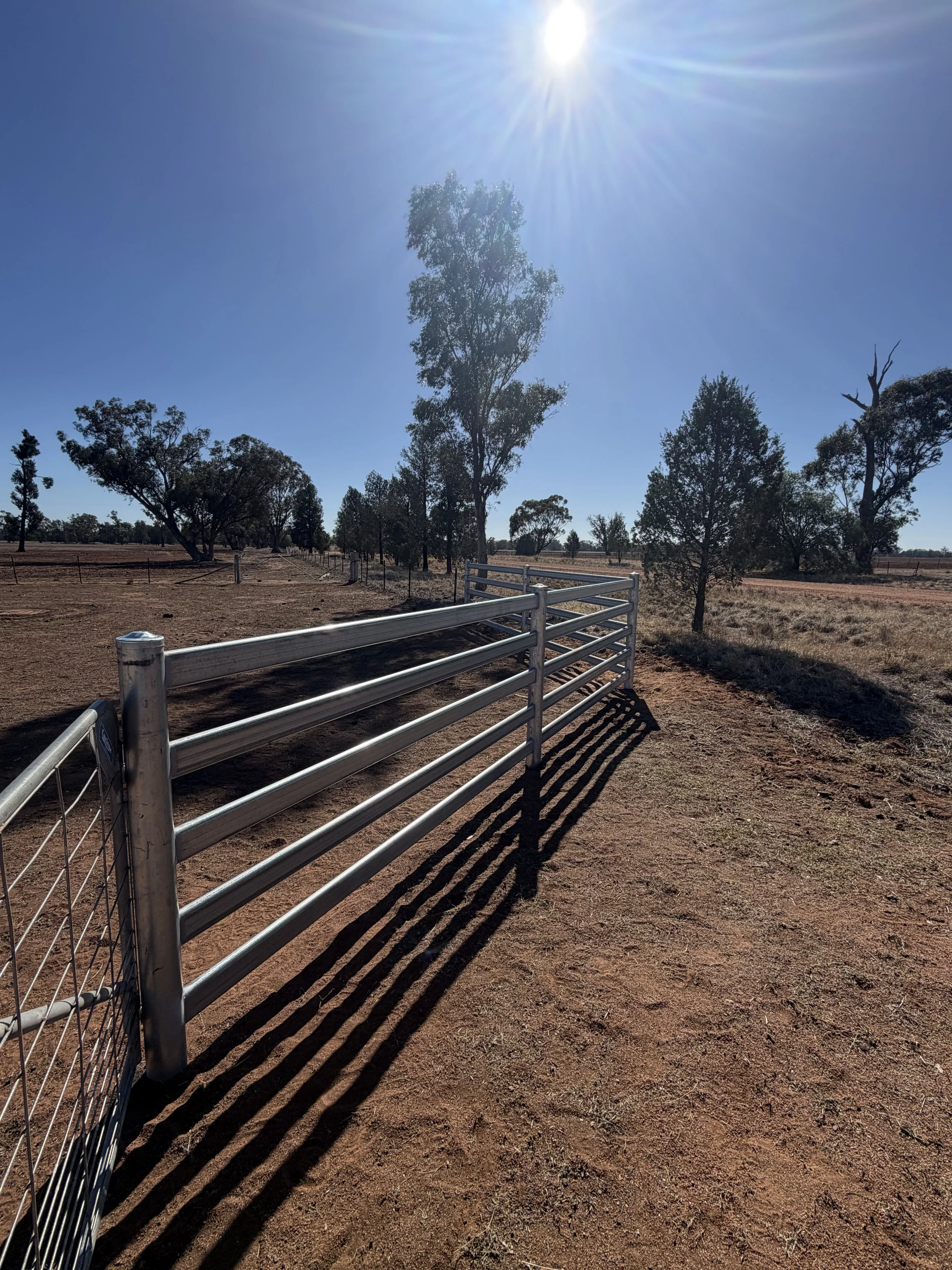 Sunshine over a rural landscape with trees, dry earth, and a metal fence casting shadows on the ground.