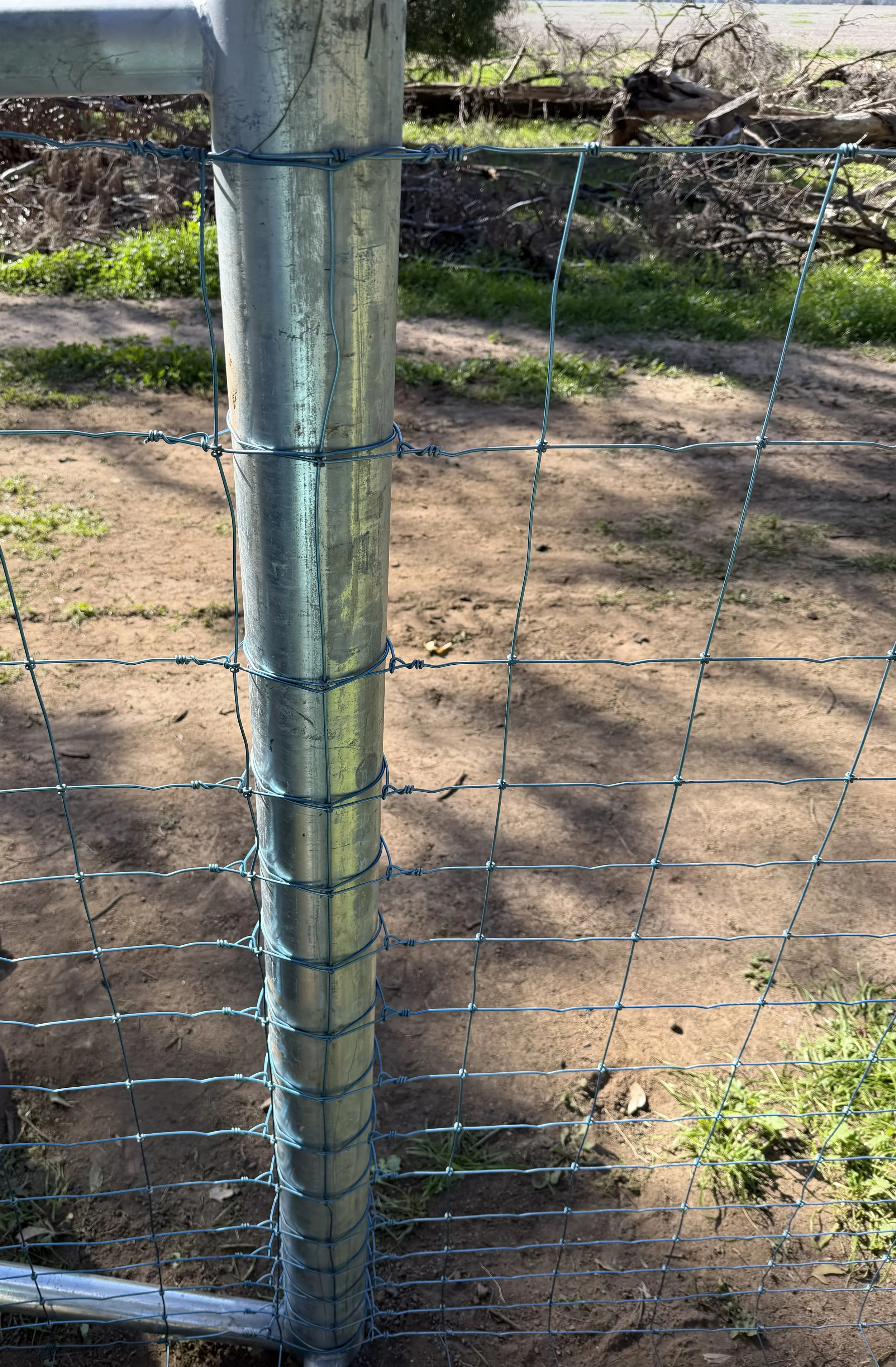 Exclusion Fence near Trangie and Narromine NSW