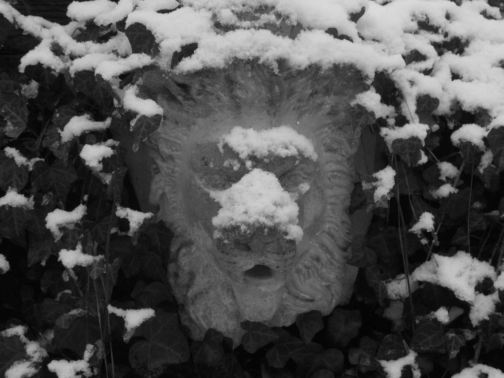 DSCN3678_1024.jpg
