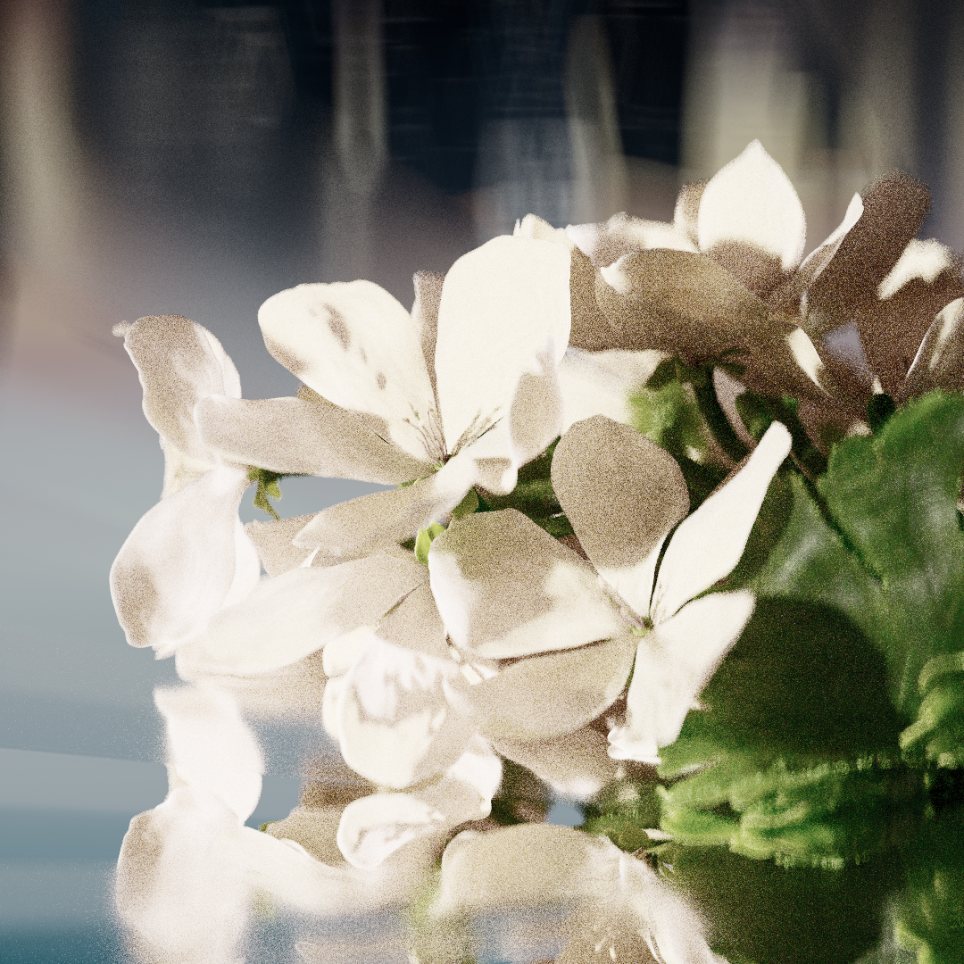 Geranium_1x1.png
