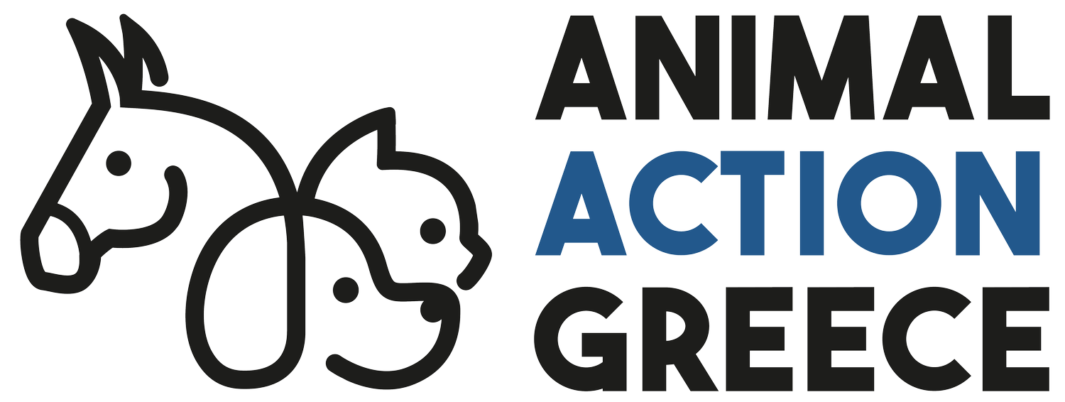 Animal Action Greece