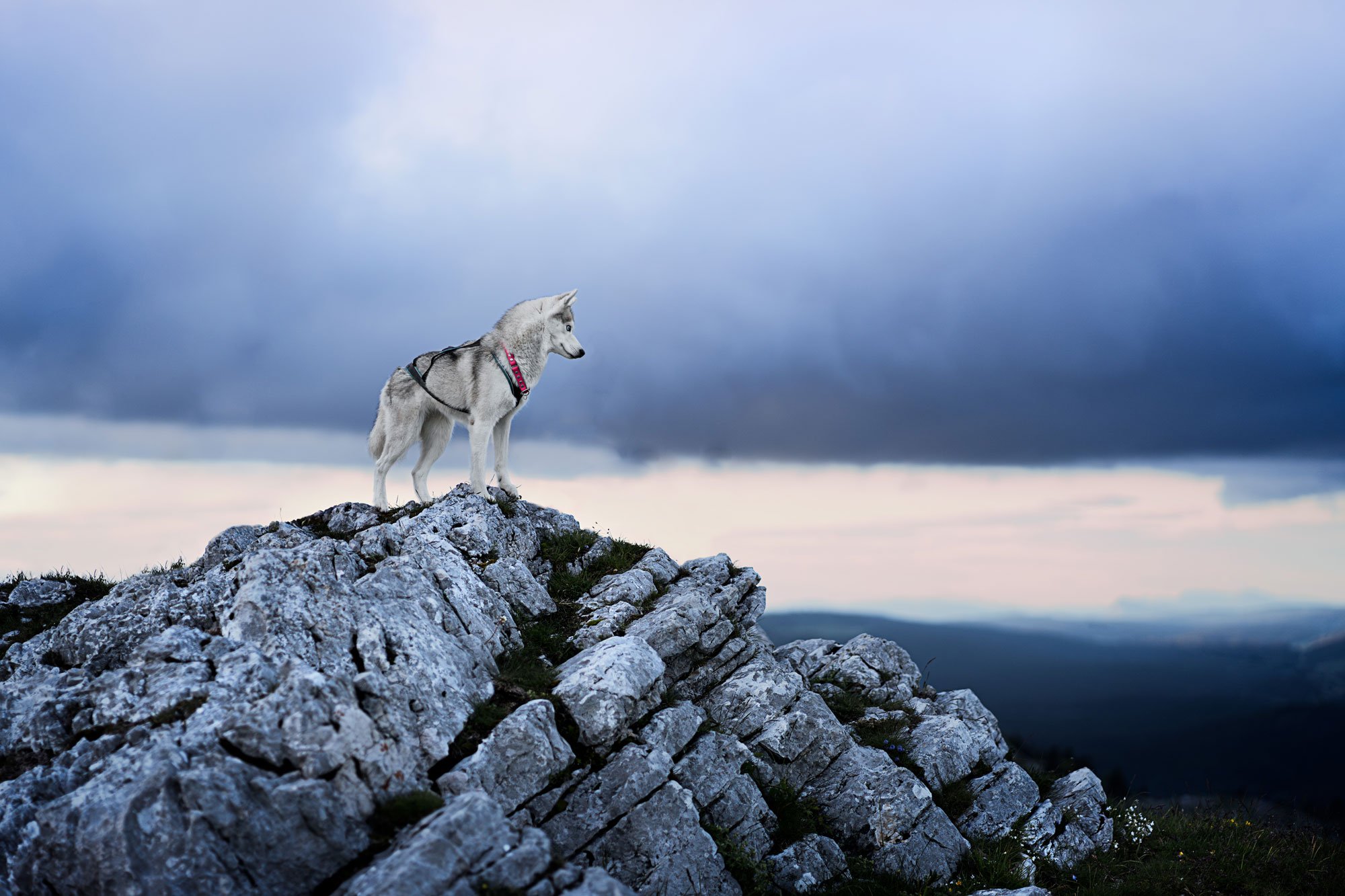 _A745248-HD.jpg