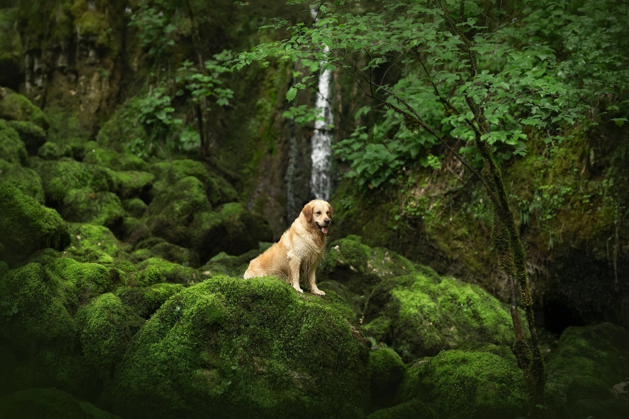 A7406933-HD.jpg