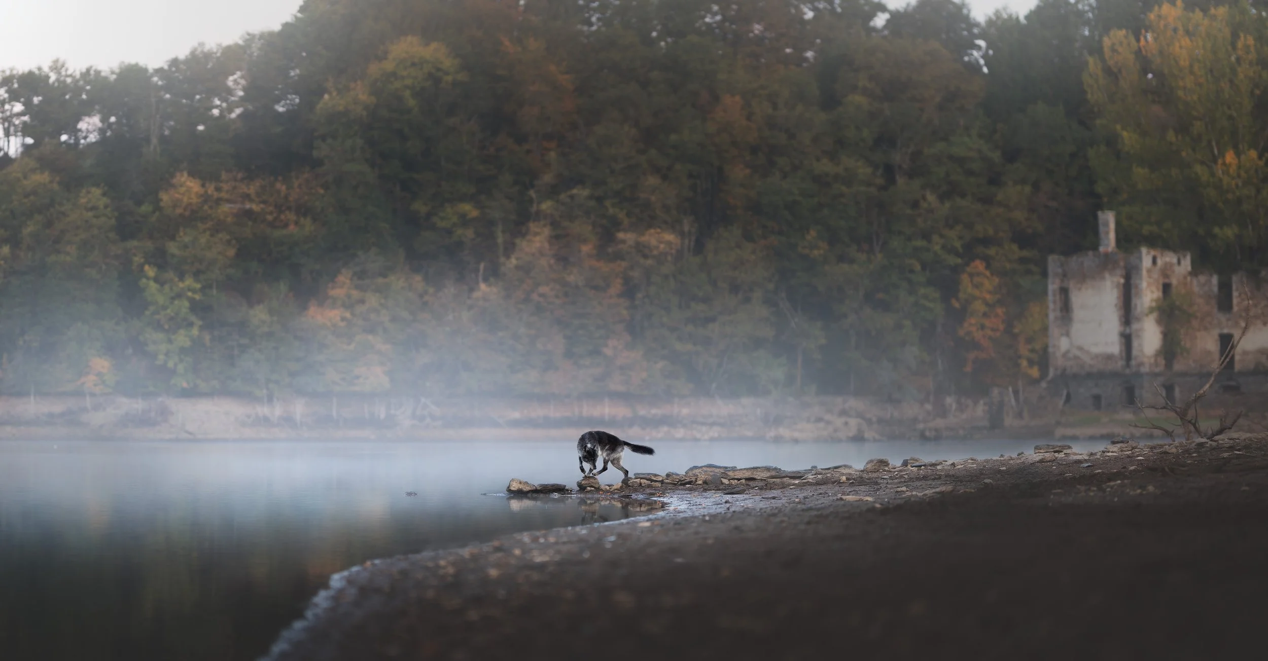 _A740466-HD.jpg