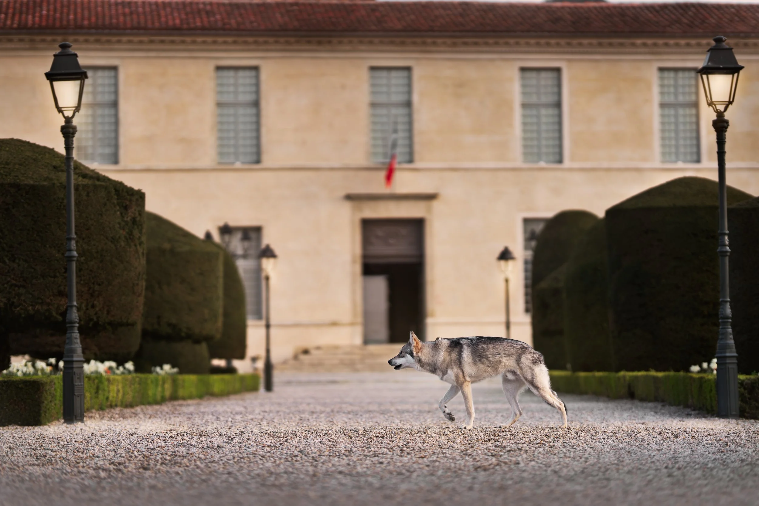A7407467-HD.jpg