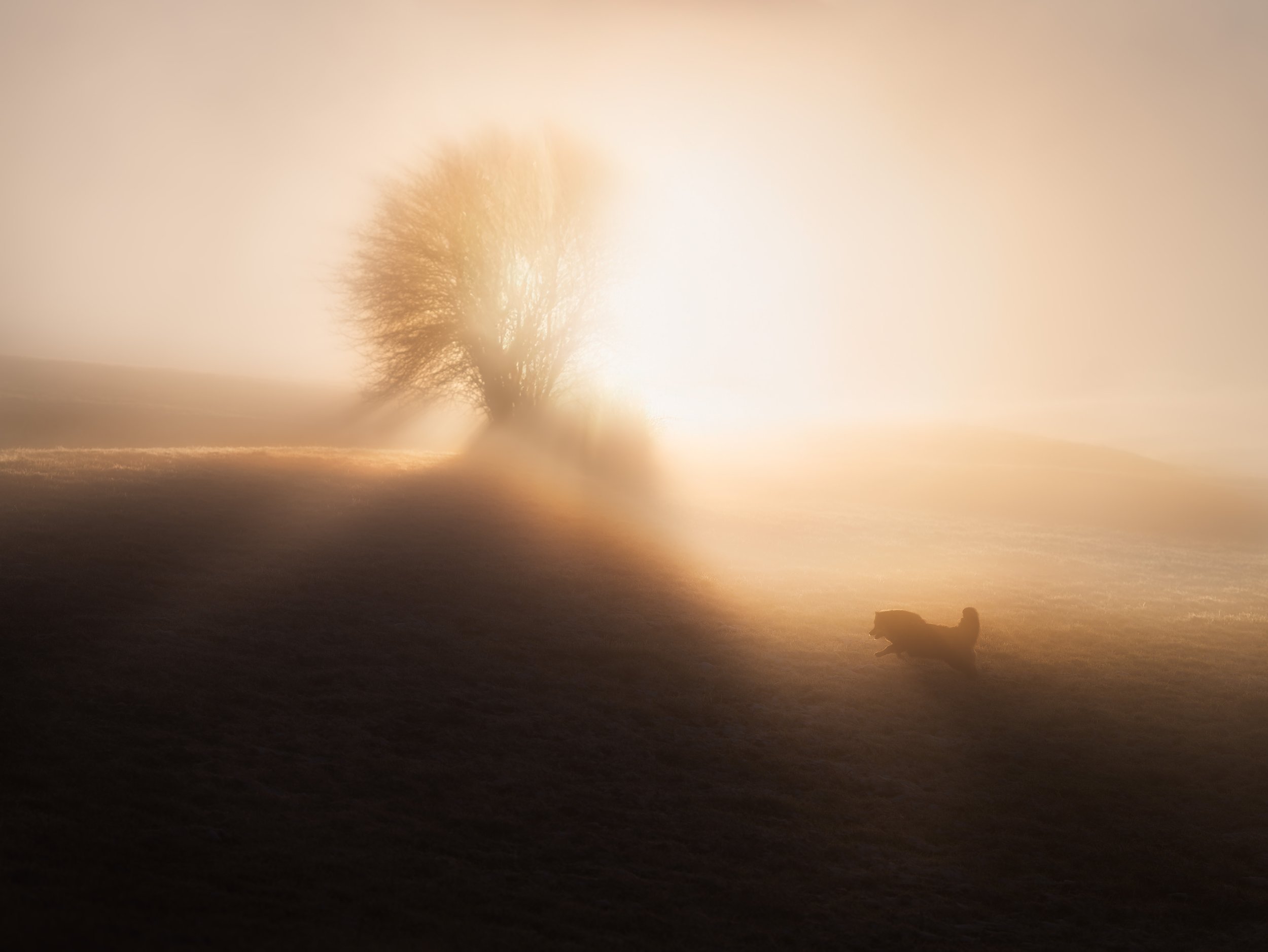 _A746457-HD.jpg