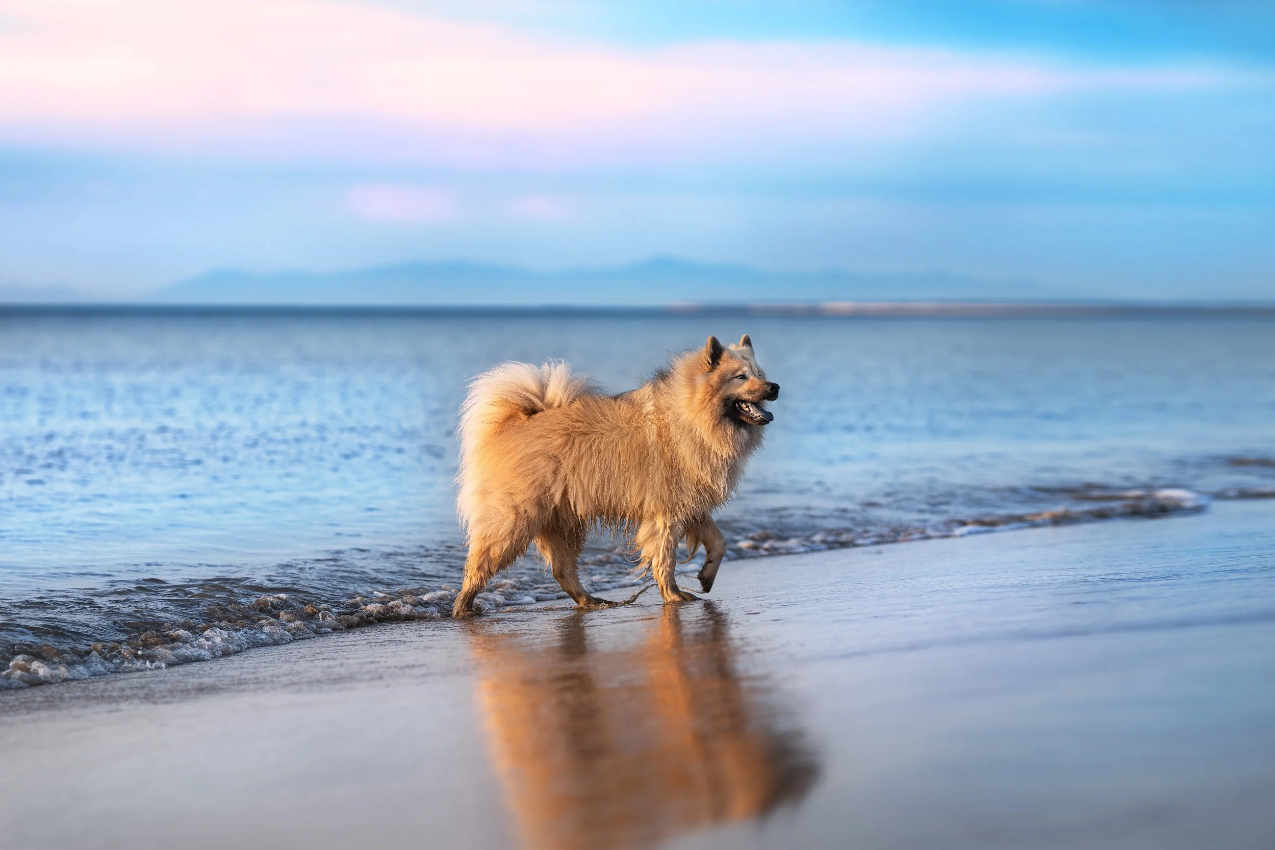 A7402977-HD.jpg