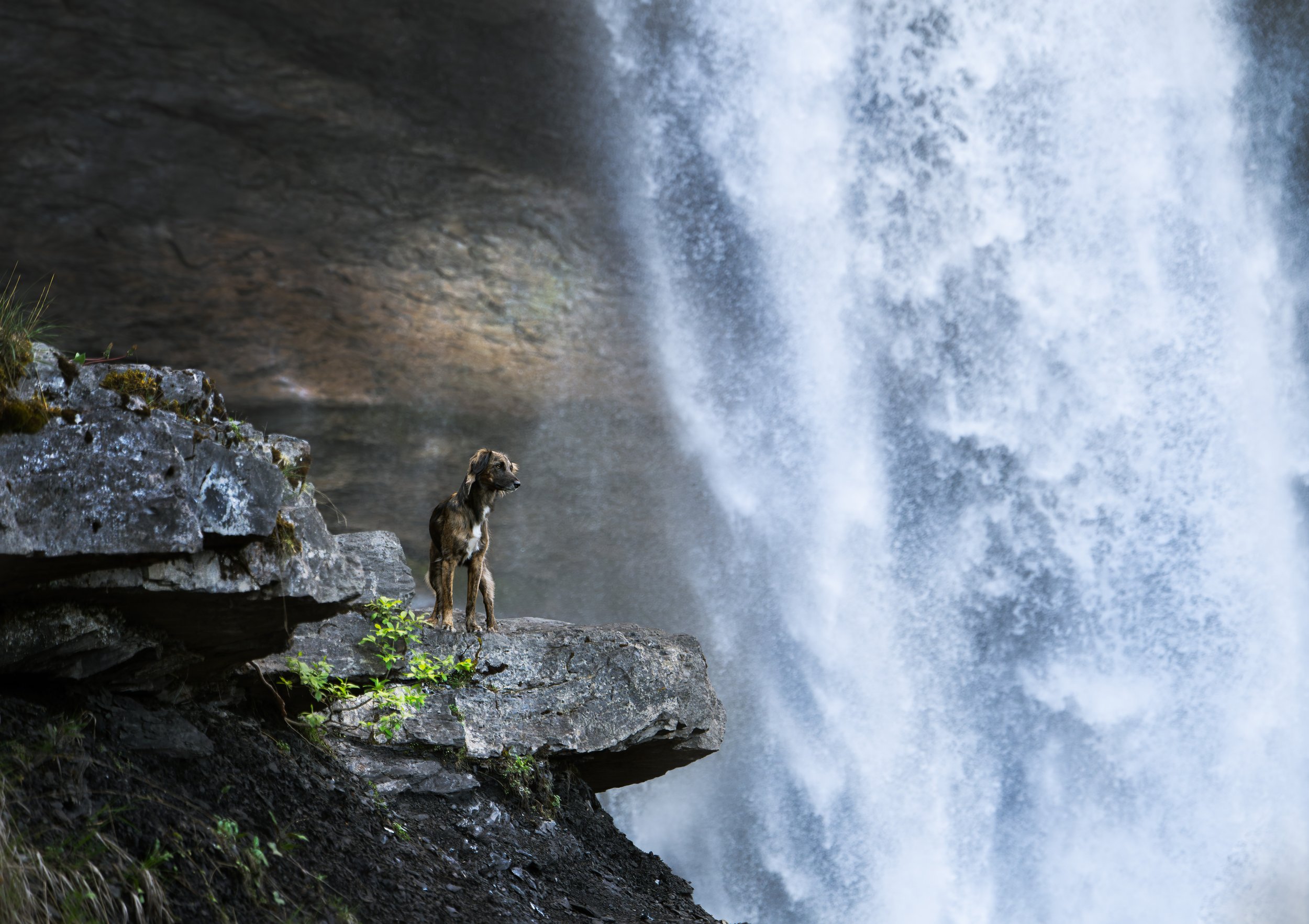 _A744114-HD.jpg