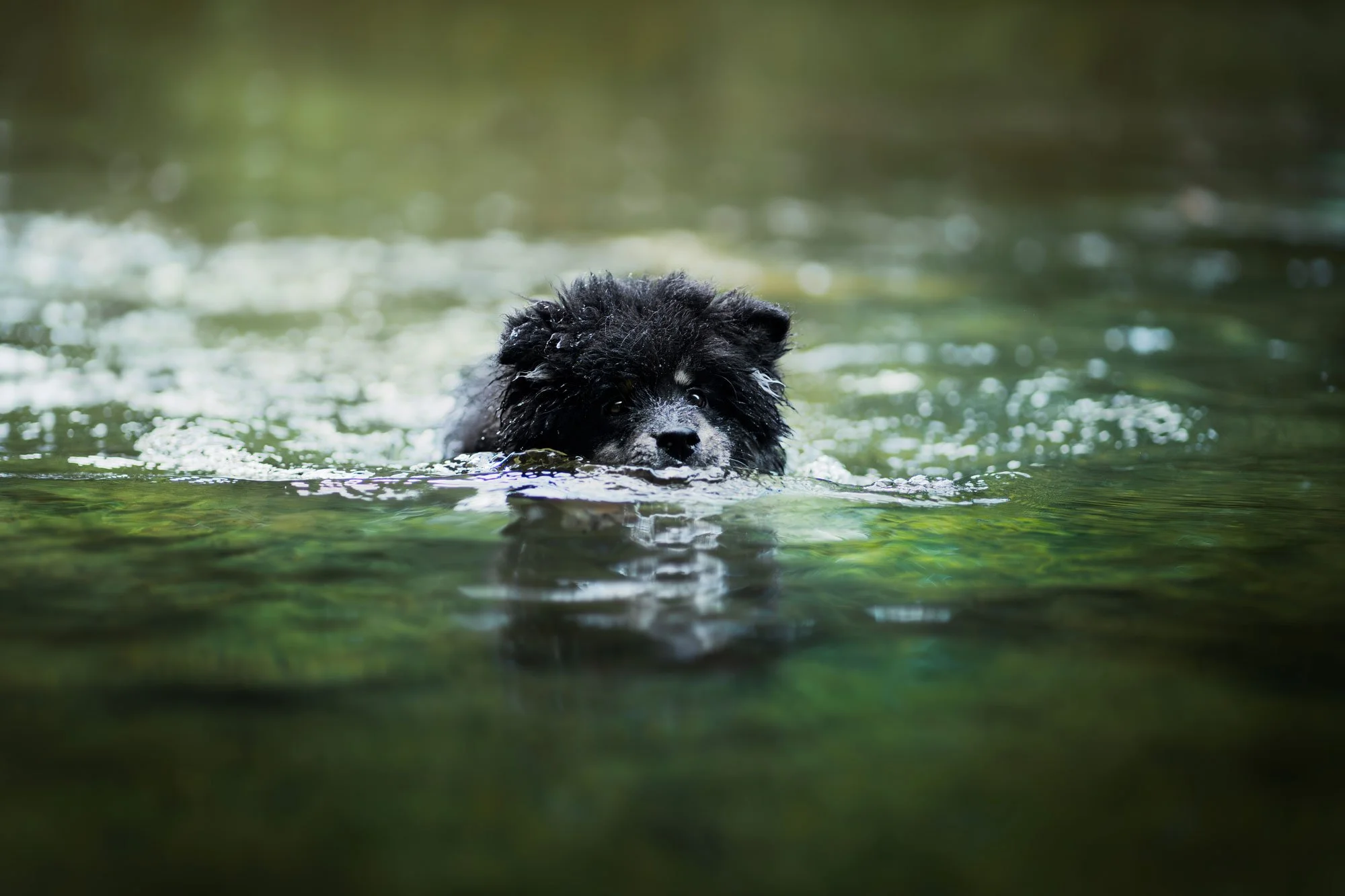 _A744454-HD.jpg