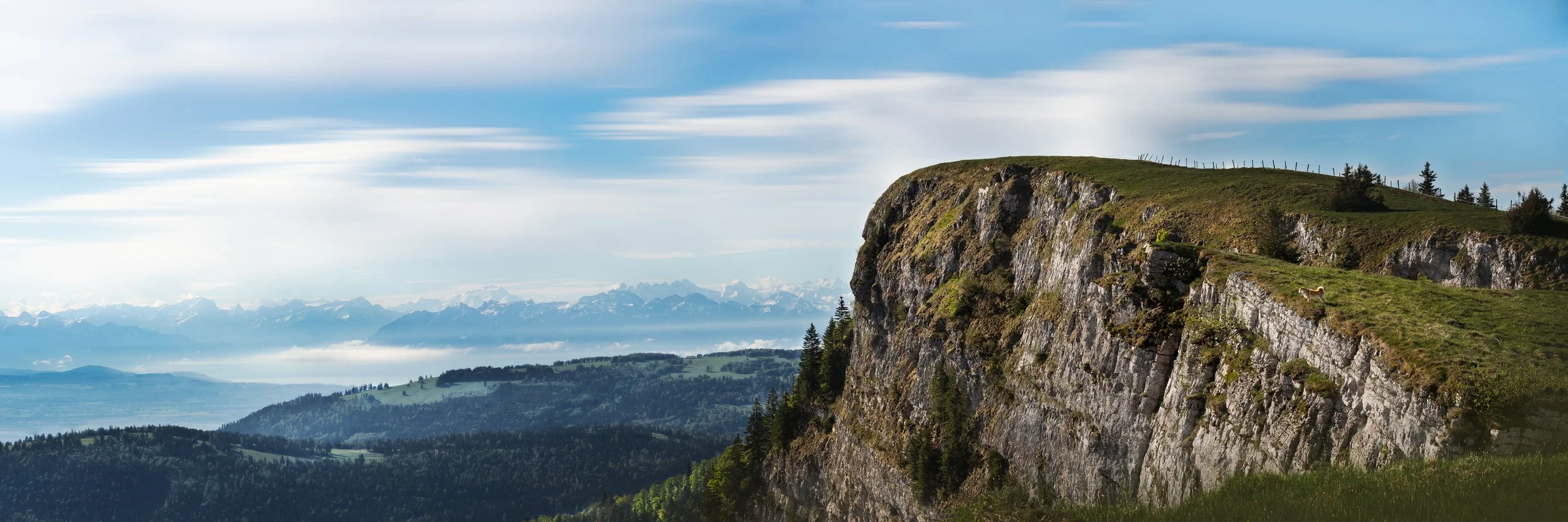 A7405971-HD.jpg