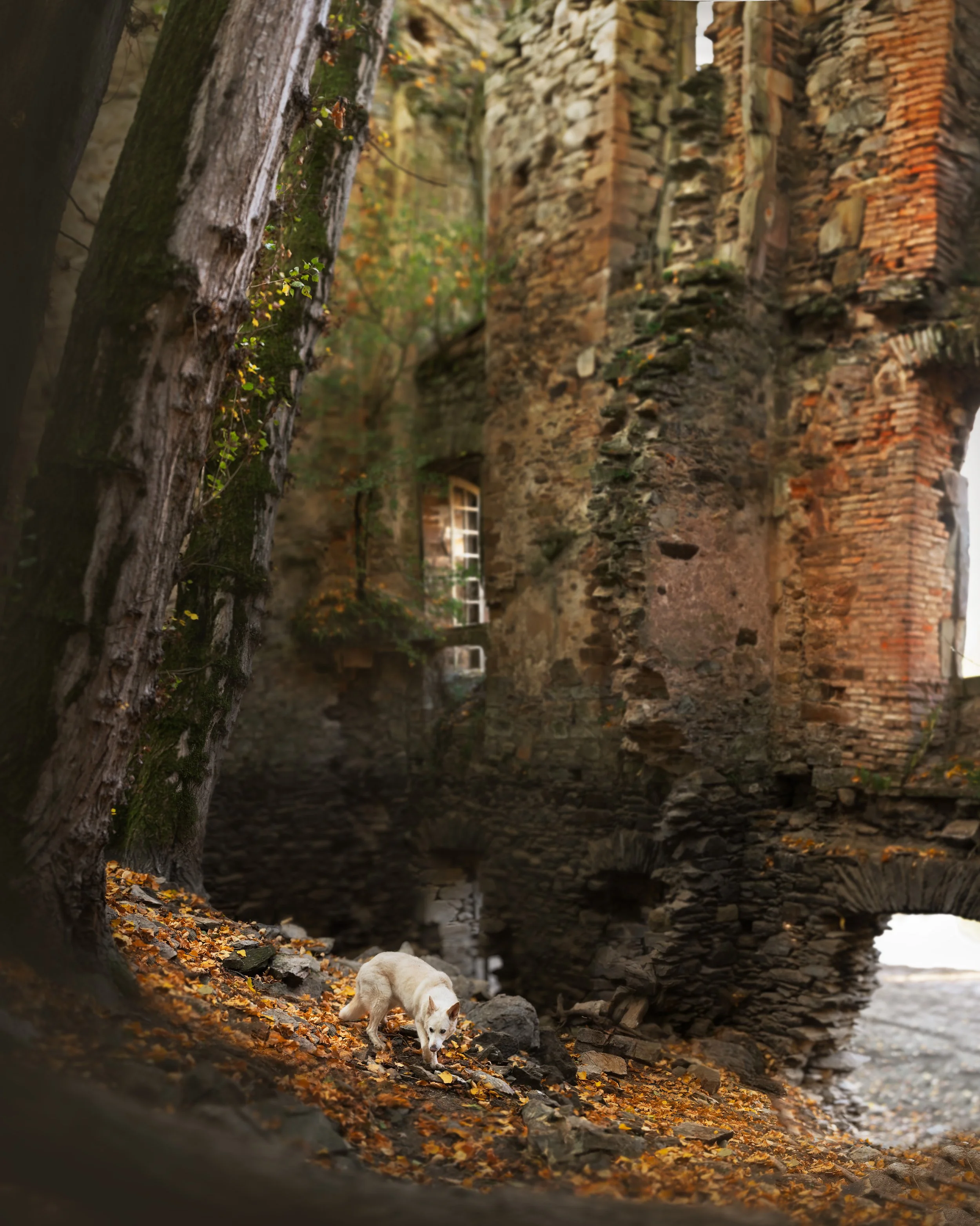 _A741164-HD.jpg