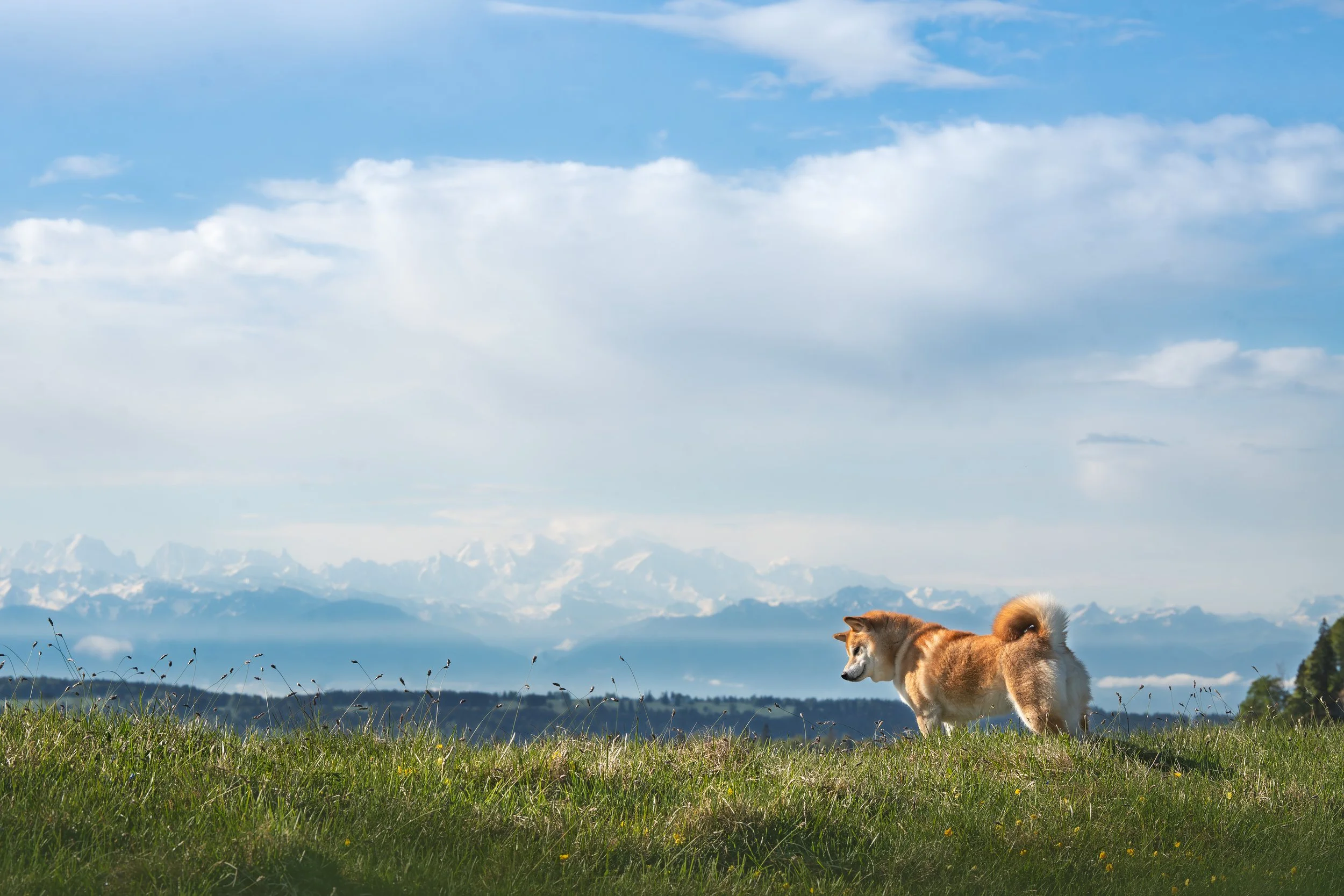 A7405929-HD.jpg