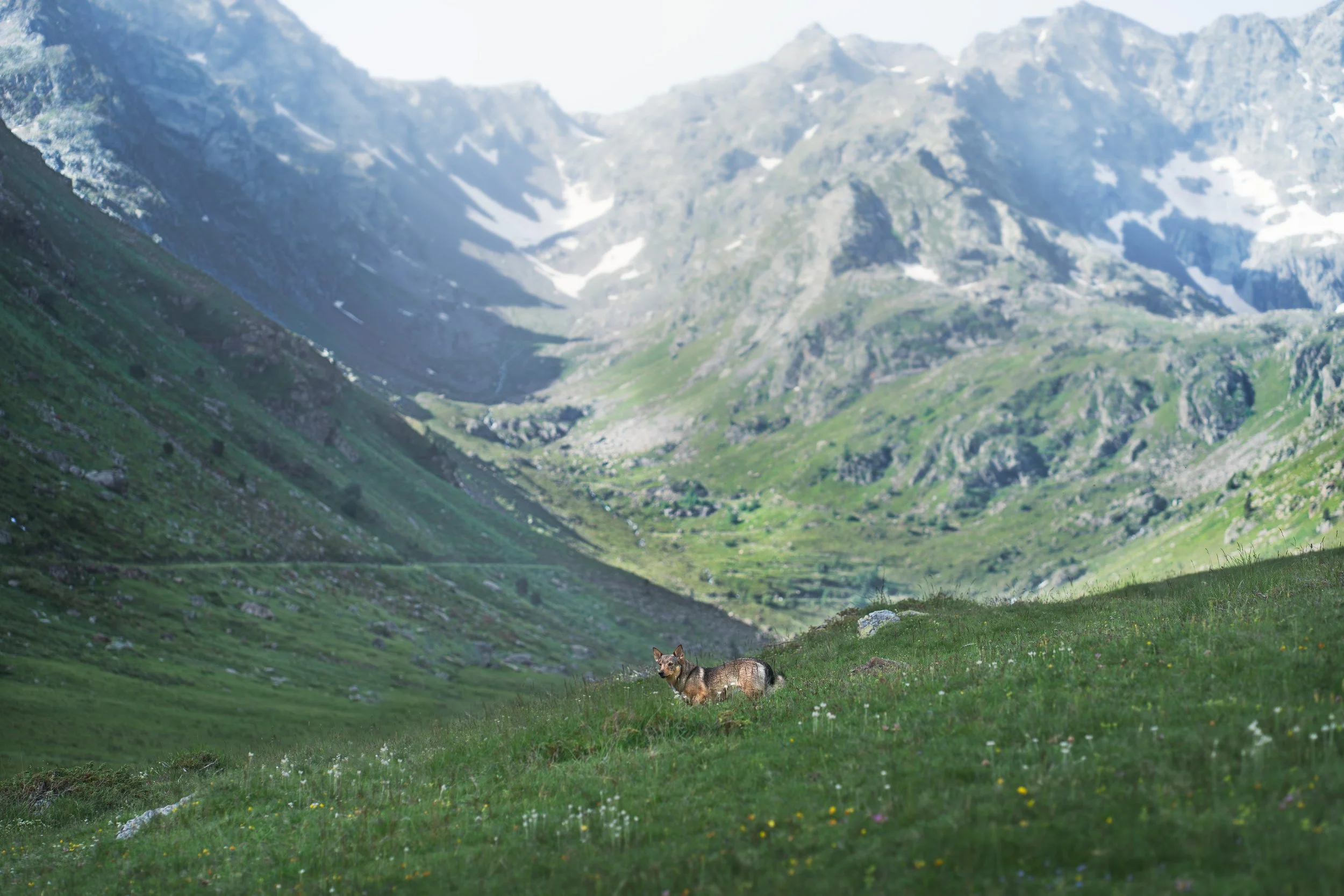 A7403011-HD.jpg