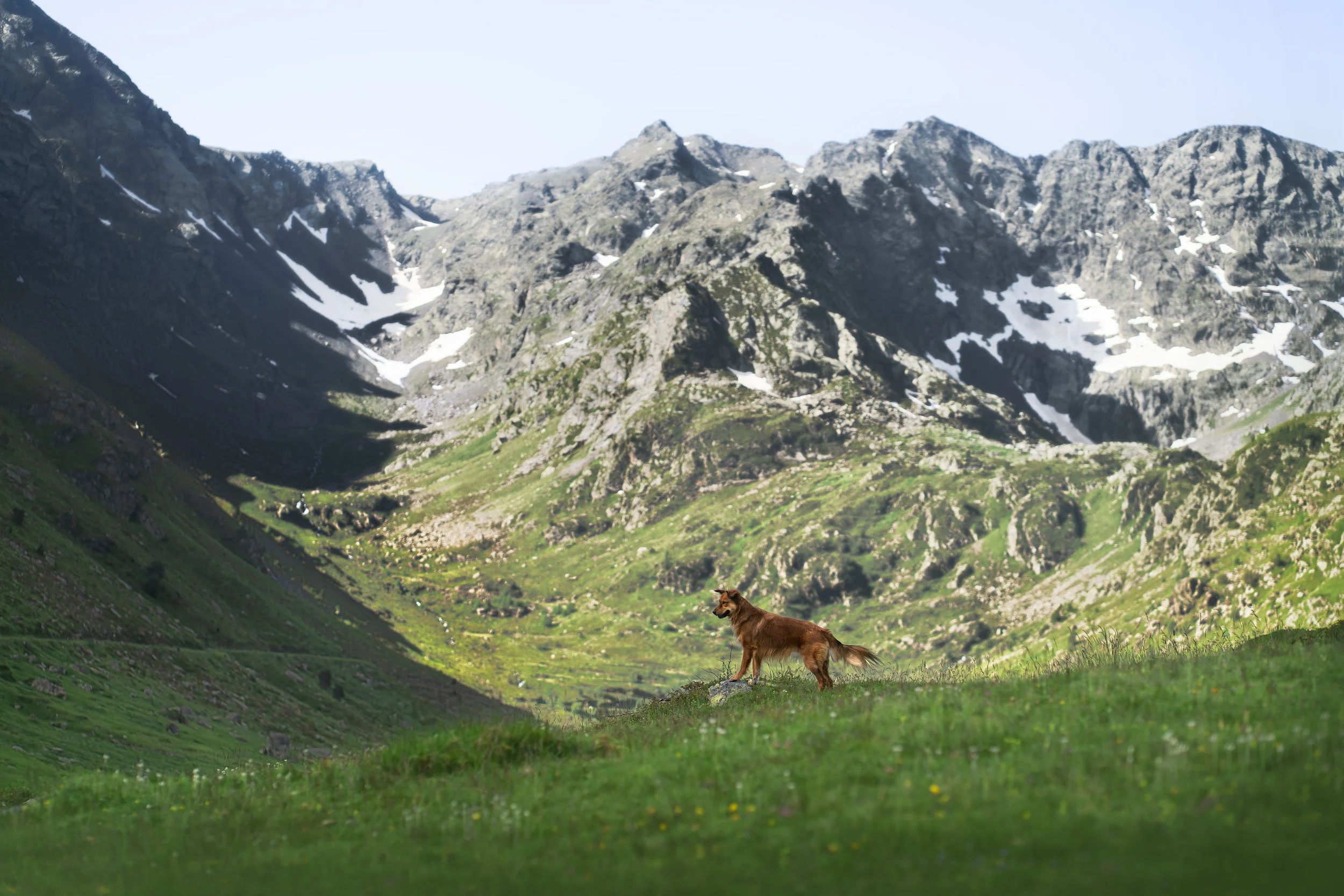 A7402960-HD.jpg