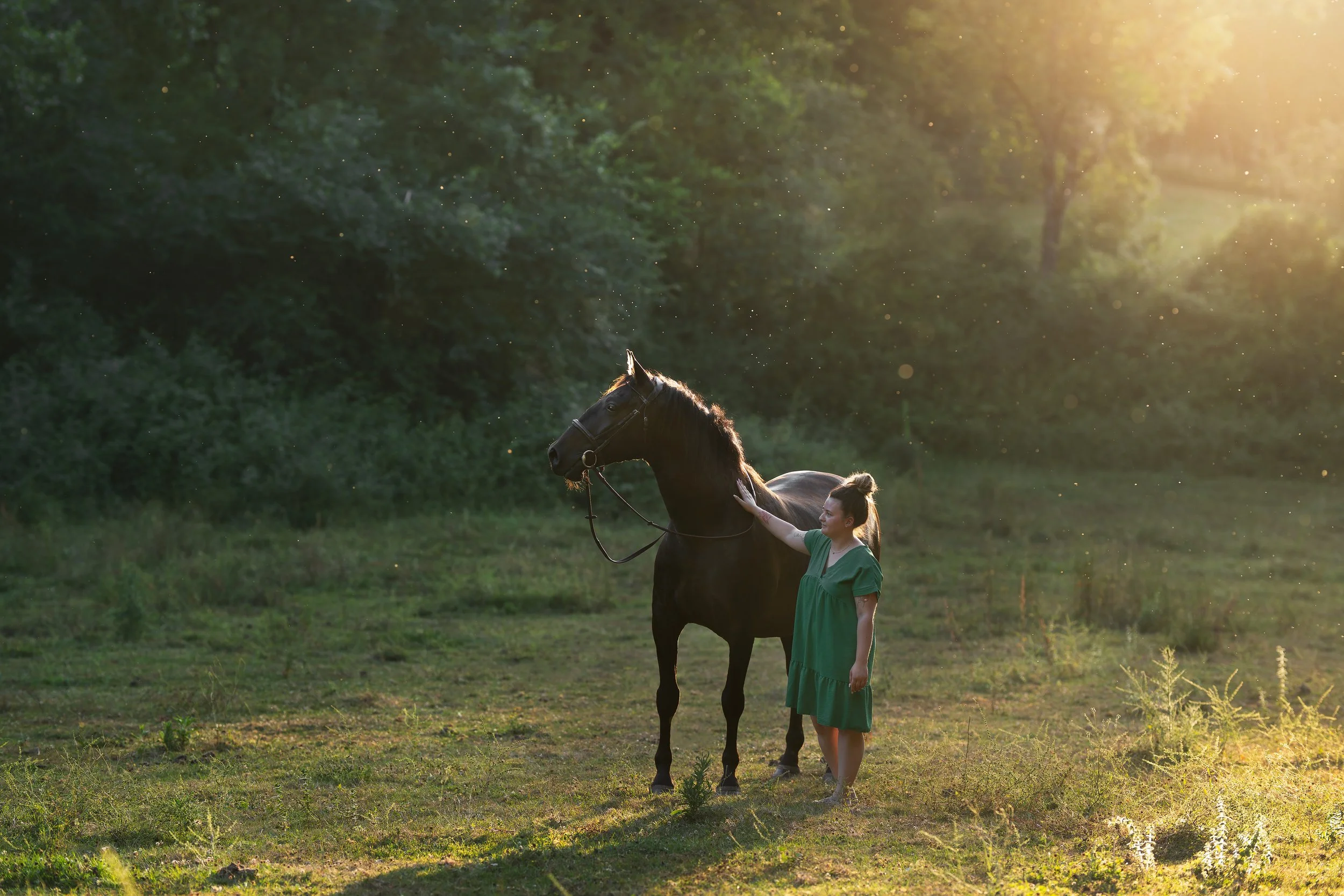 A7400969-HD.jpg