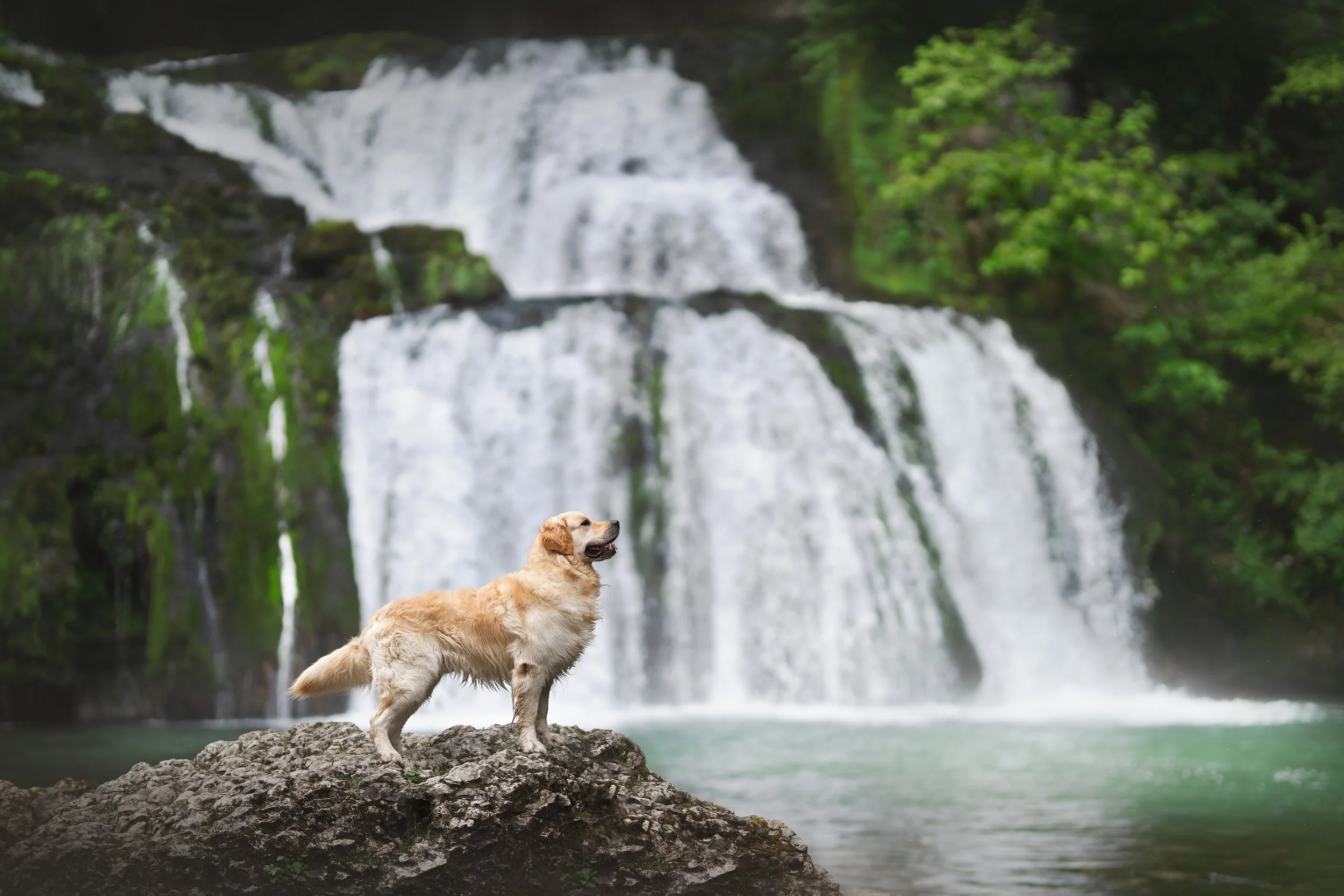 A7406621-HD.jpg