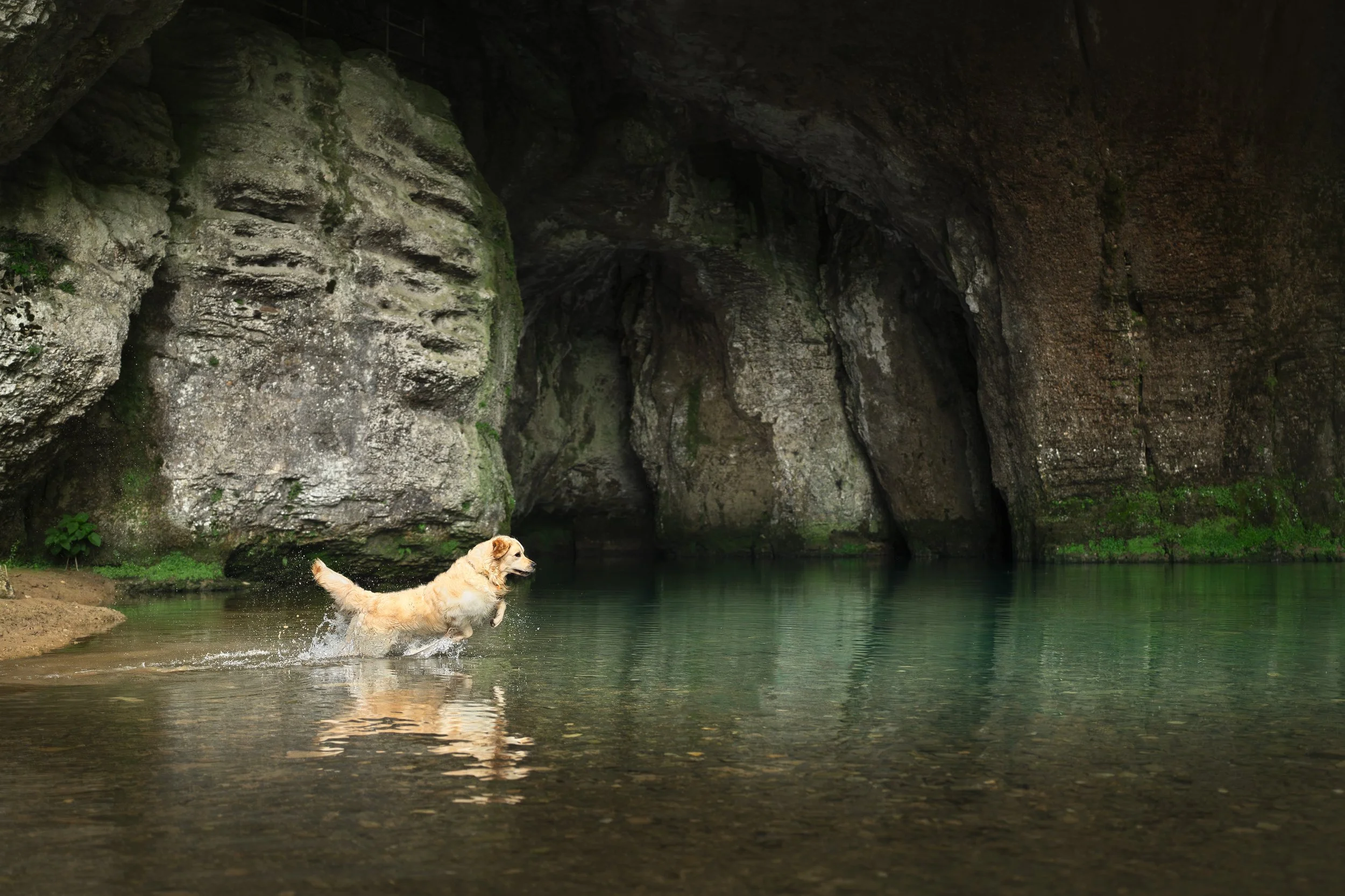 A7406670-HD.jpg