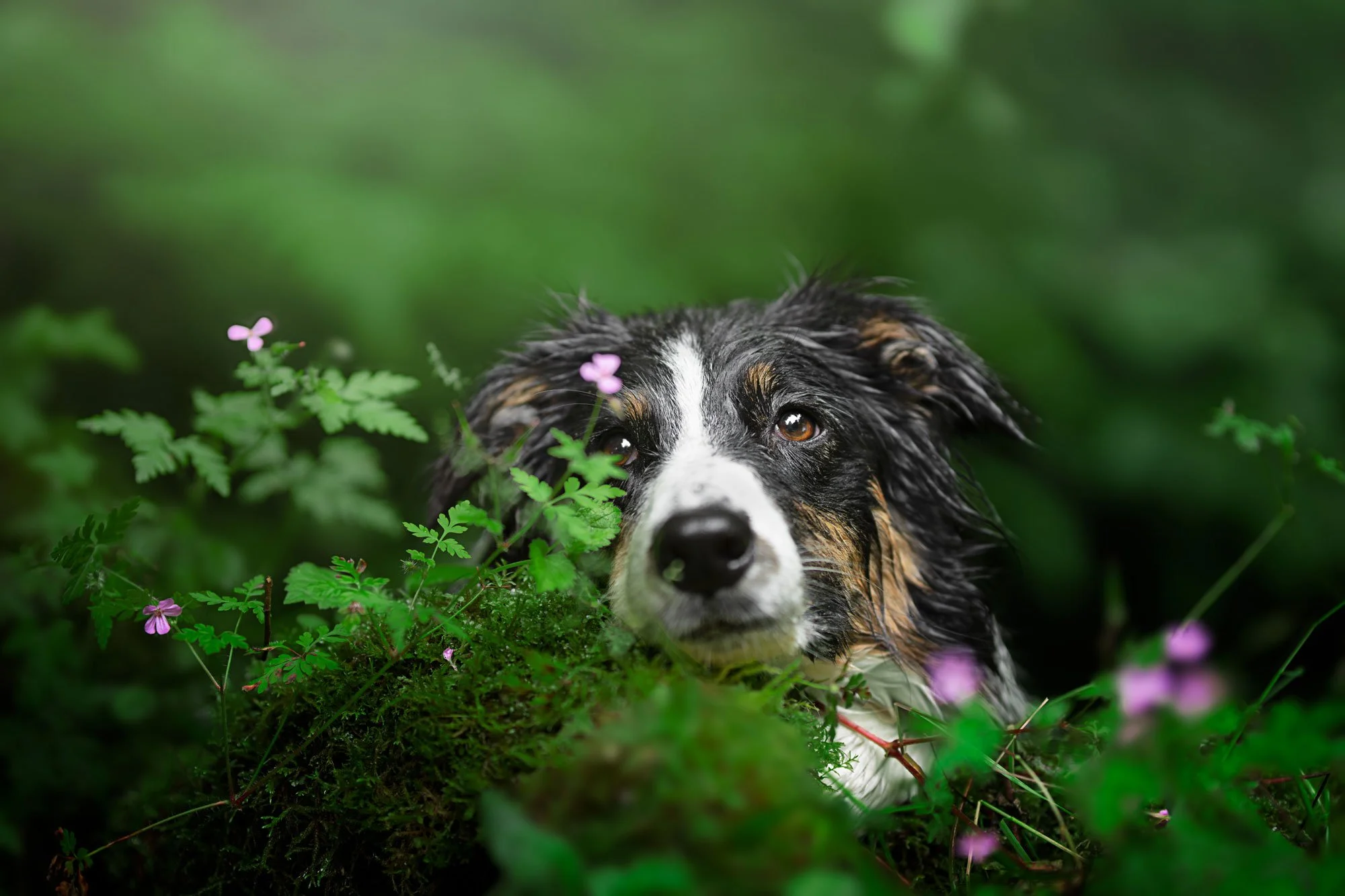 _A746248-HD.jpg