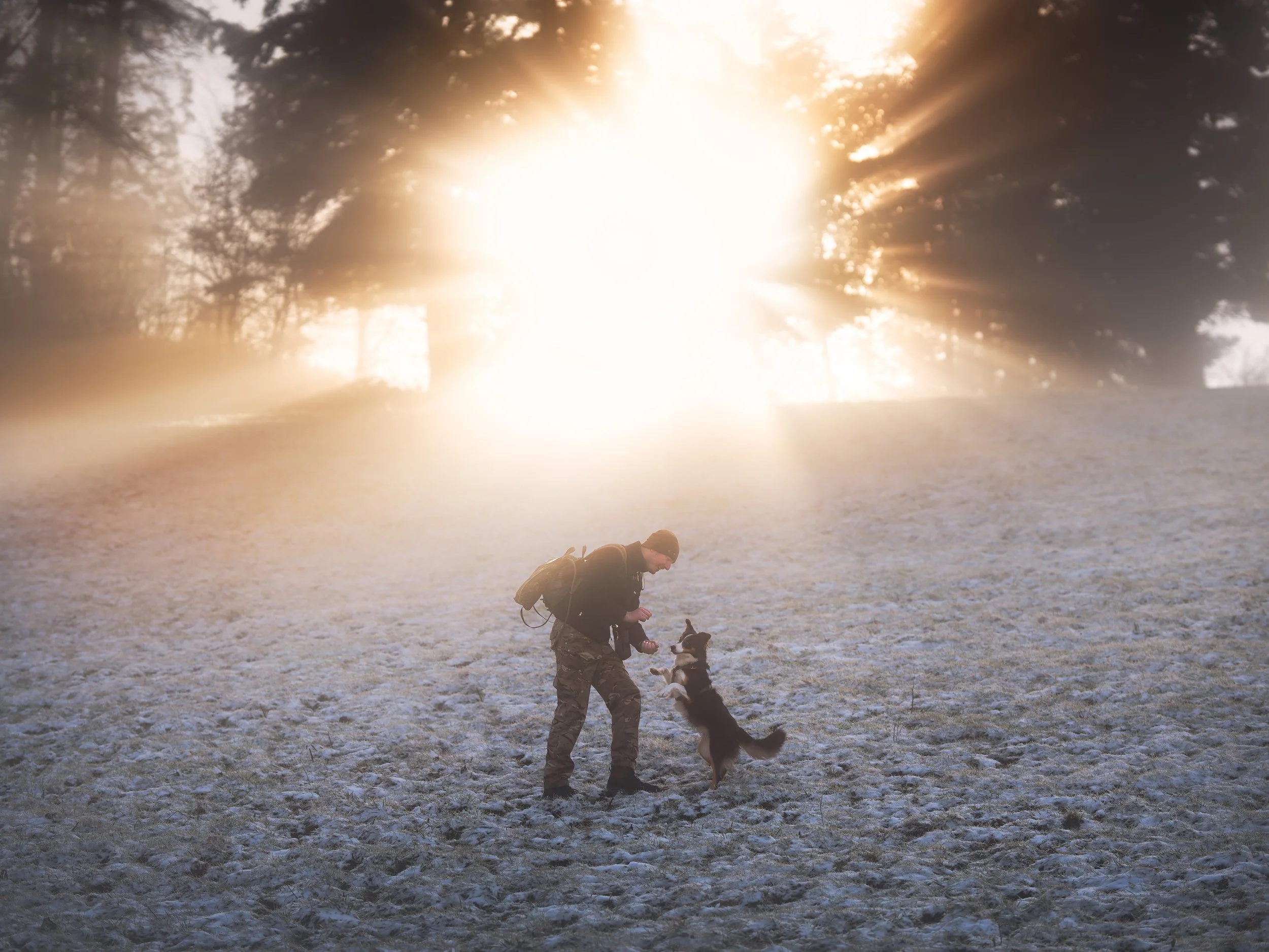 _A746927-HD.jpg