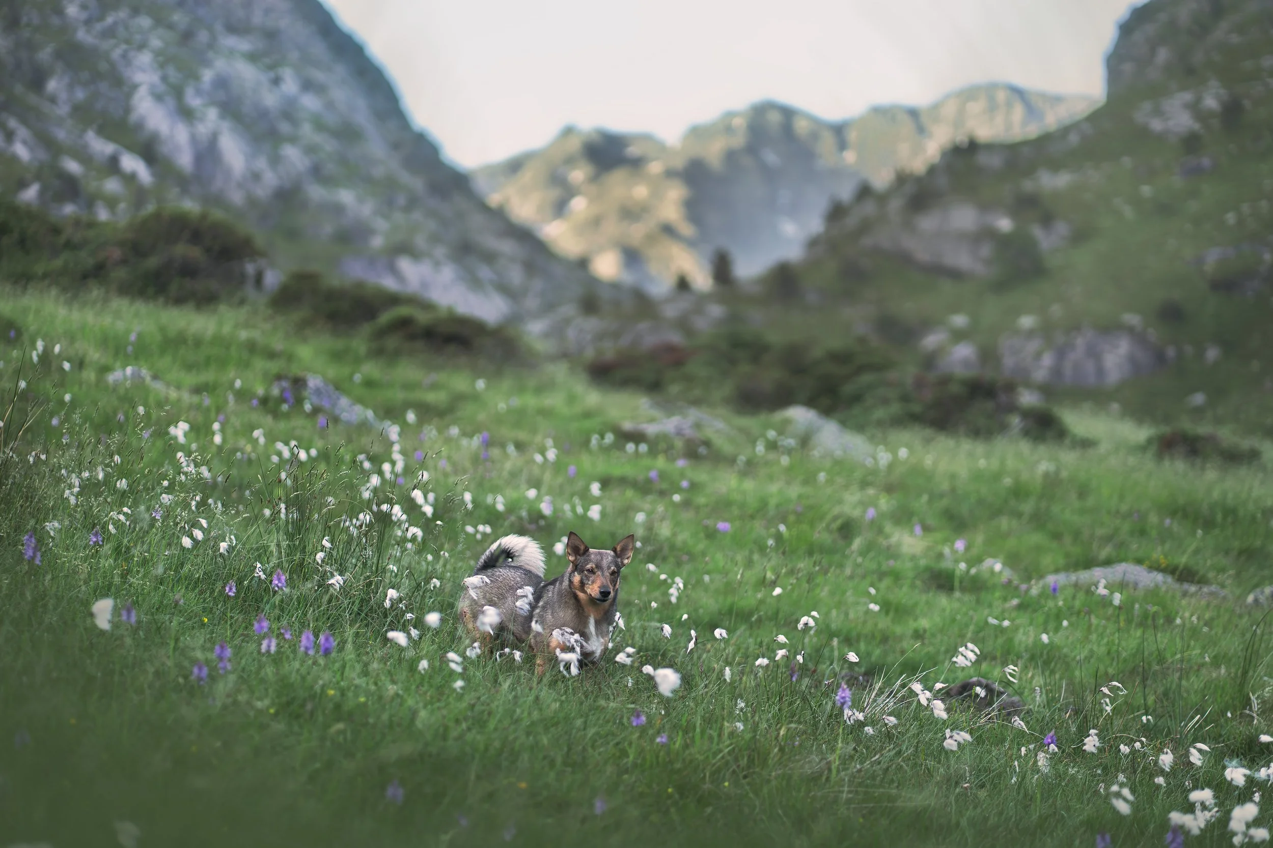 A7402610-HD.jpg