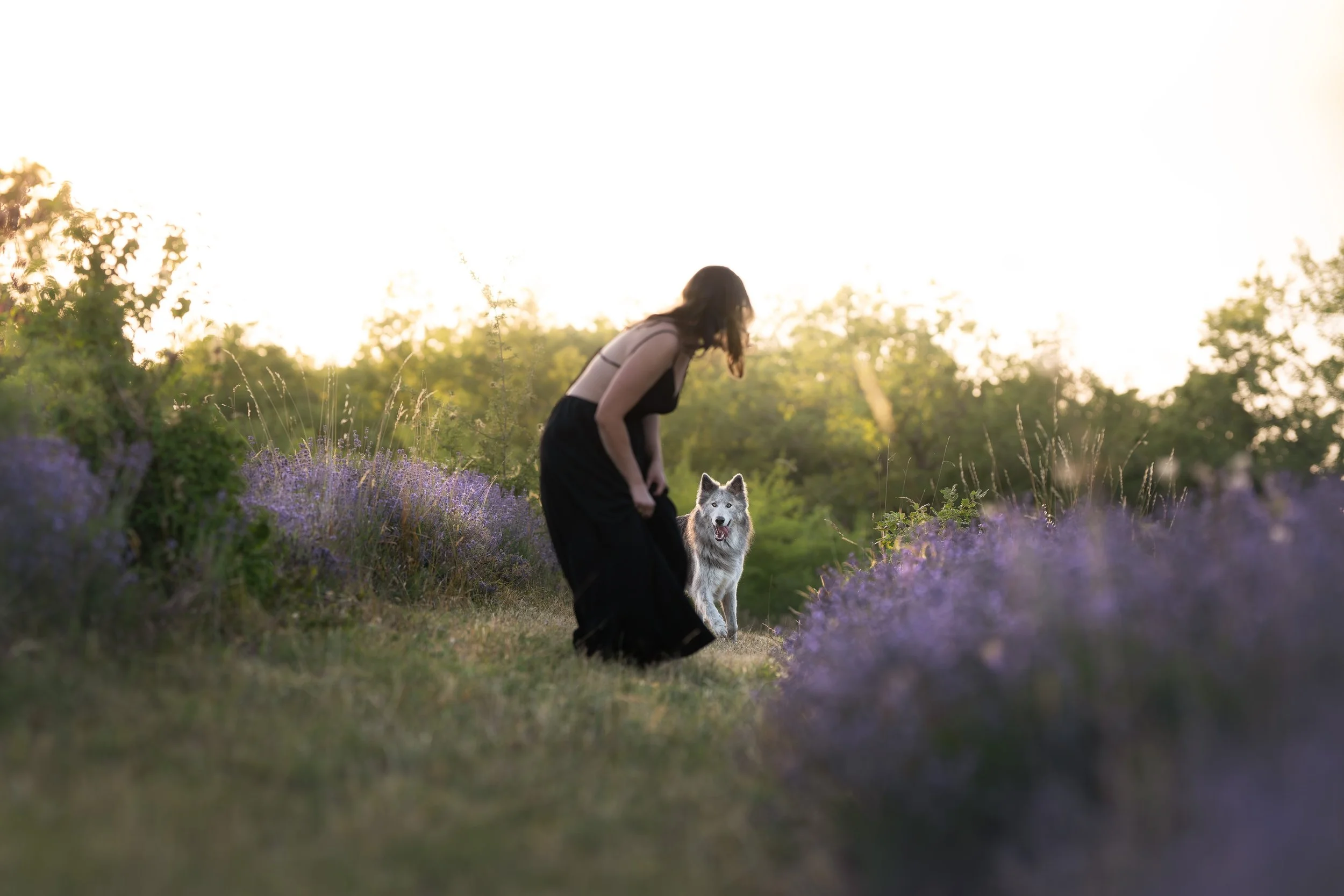 A7400671-HD.jpg