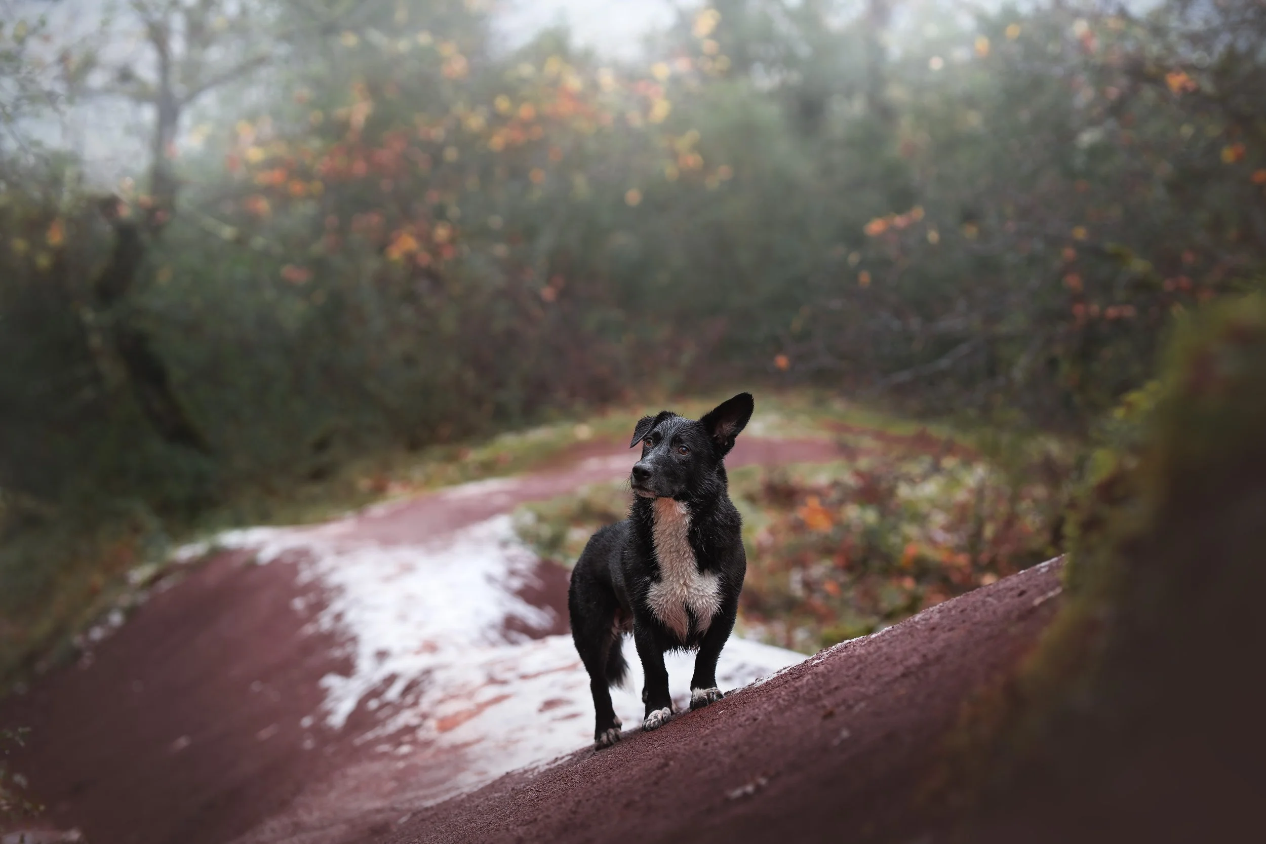 _A744463-HD.jpg