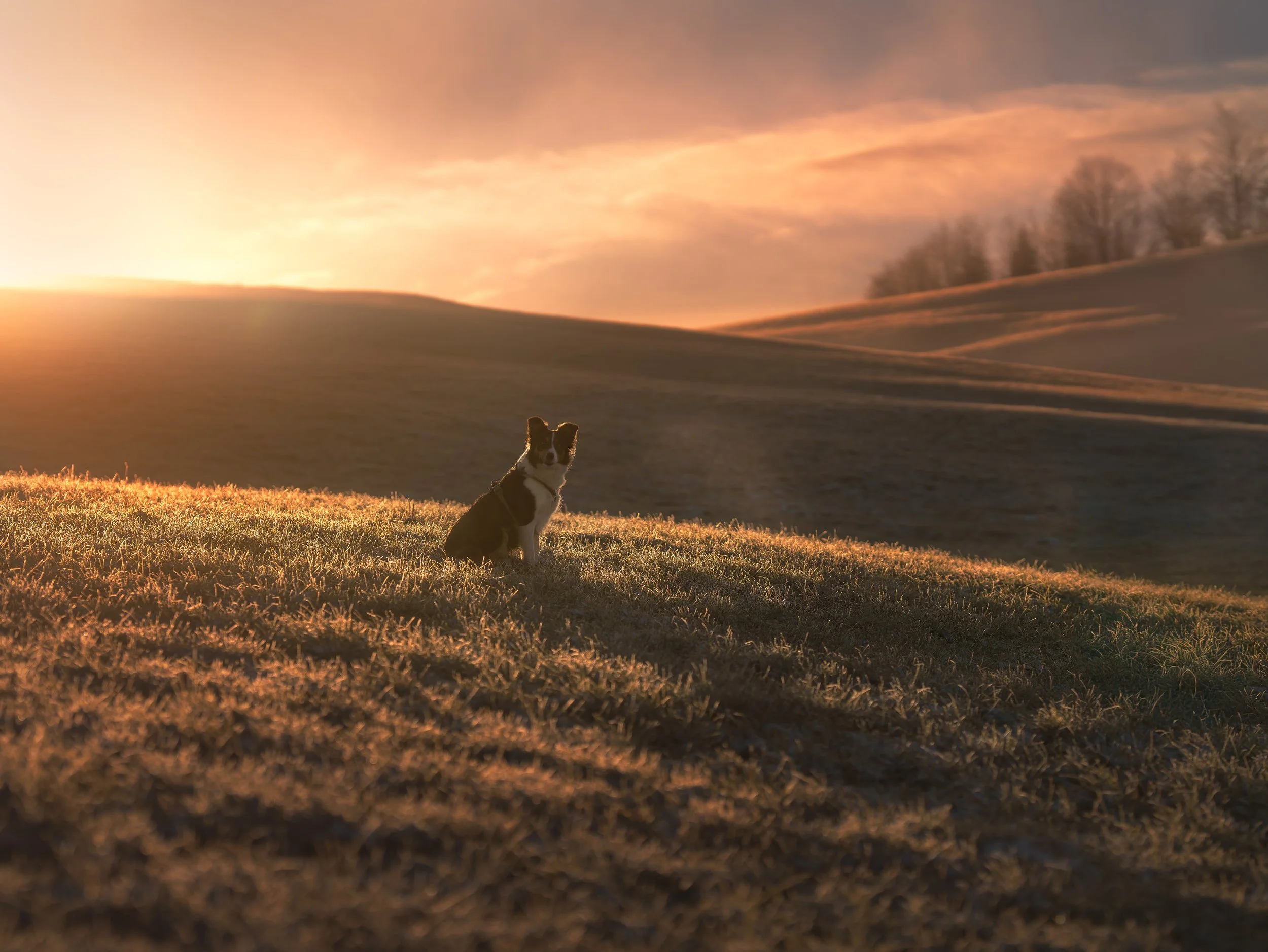 _A746302-HD.jpg