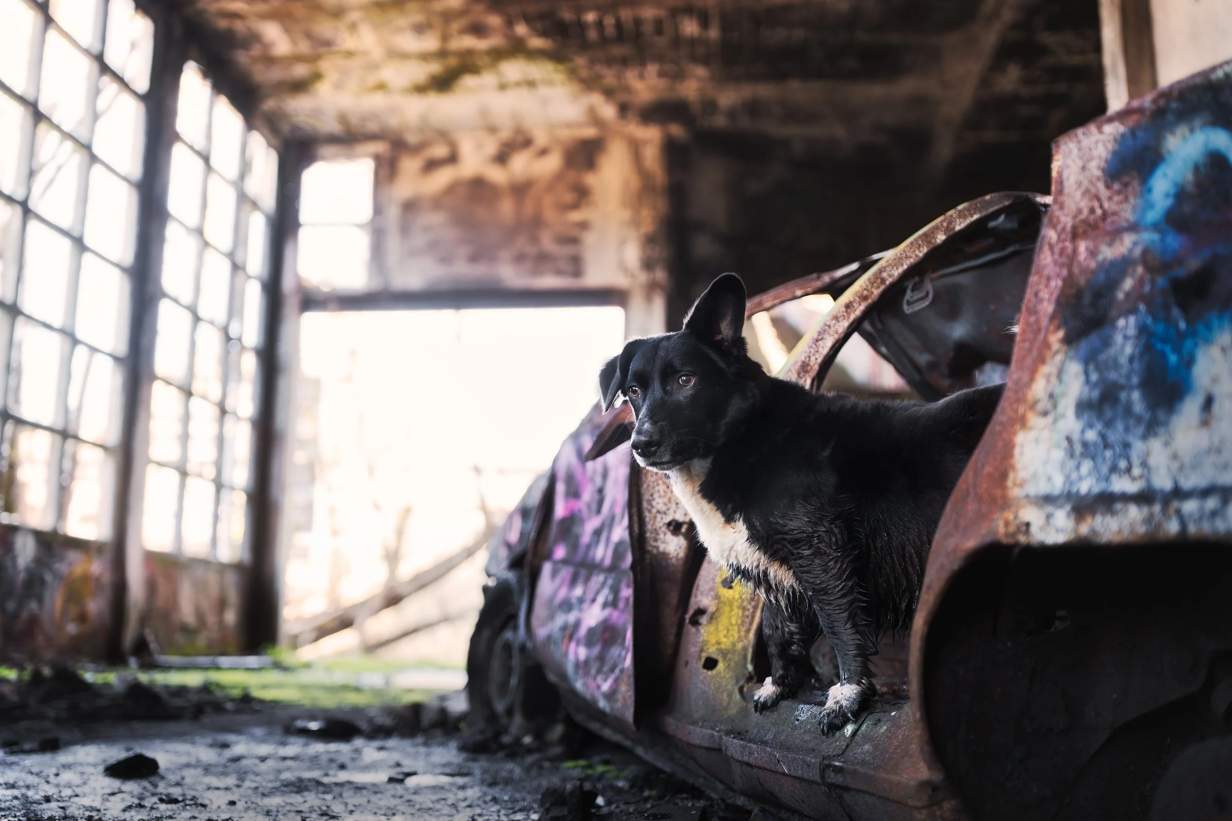 A7407147-HD.jpg