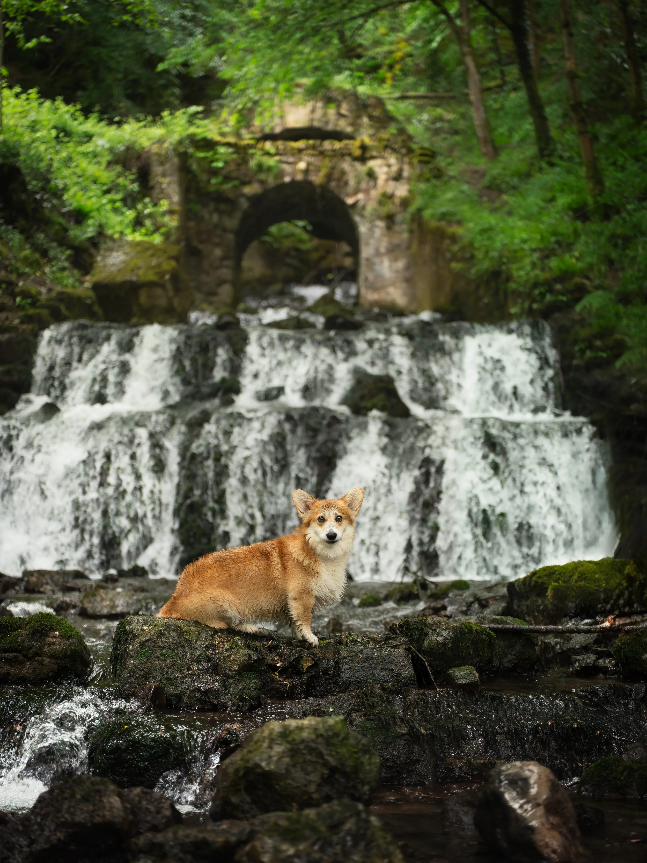 A7407861-HD.jpg