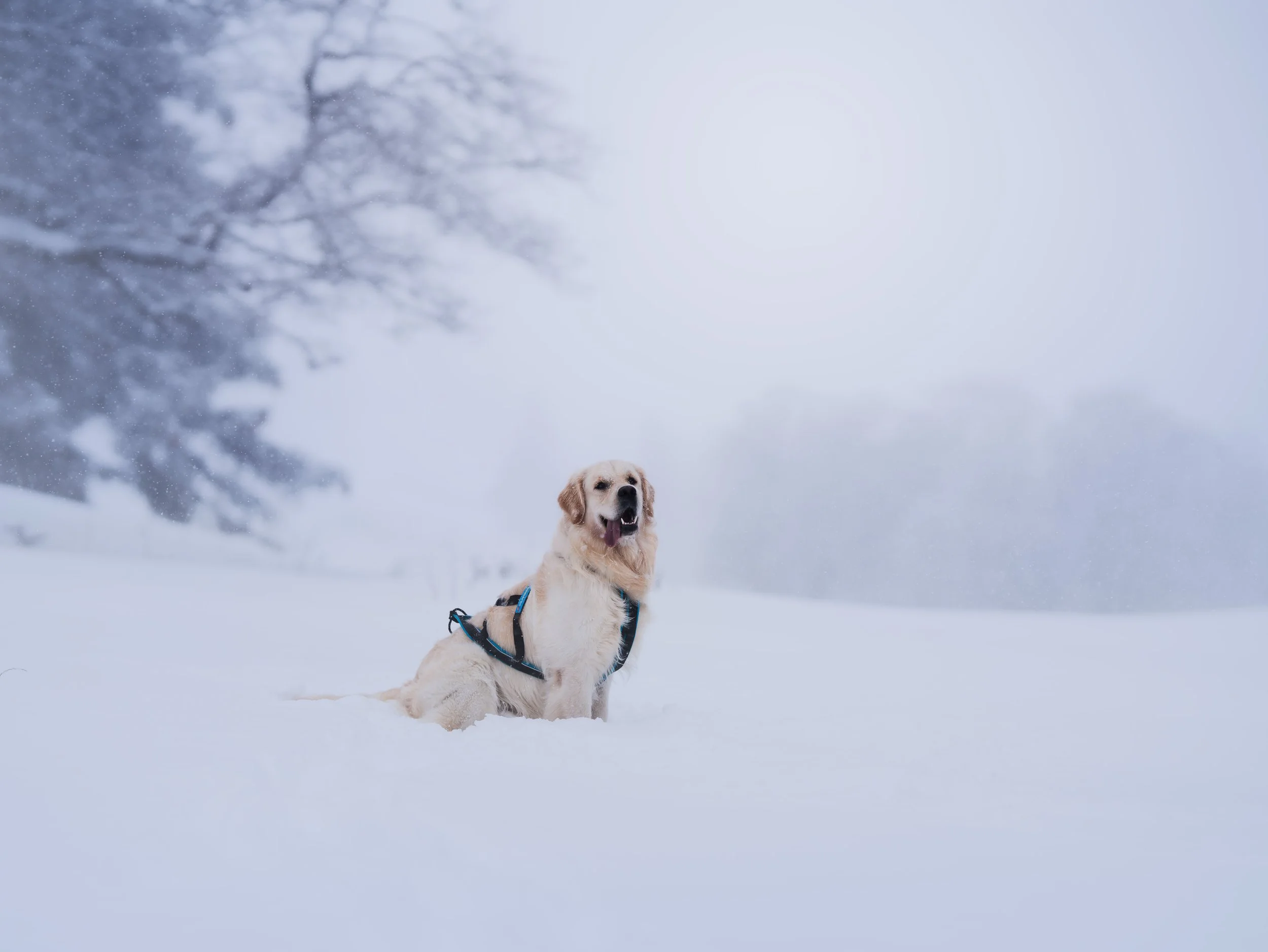 _A744349-HD.jpg