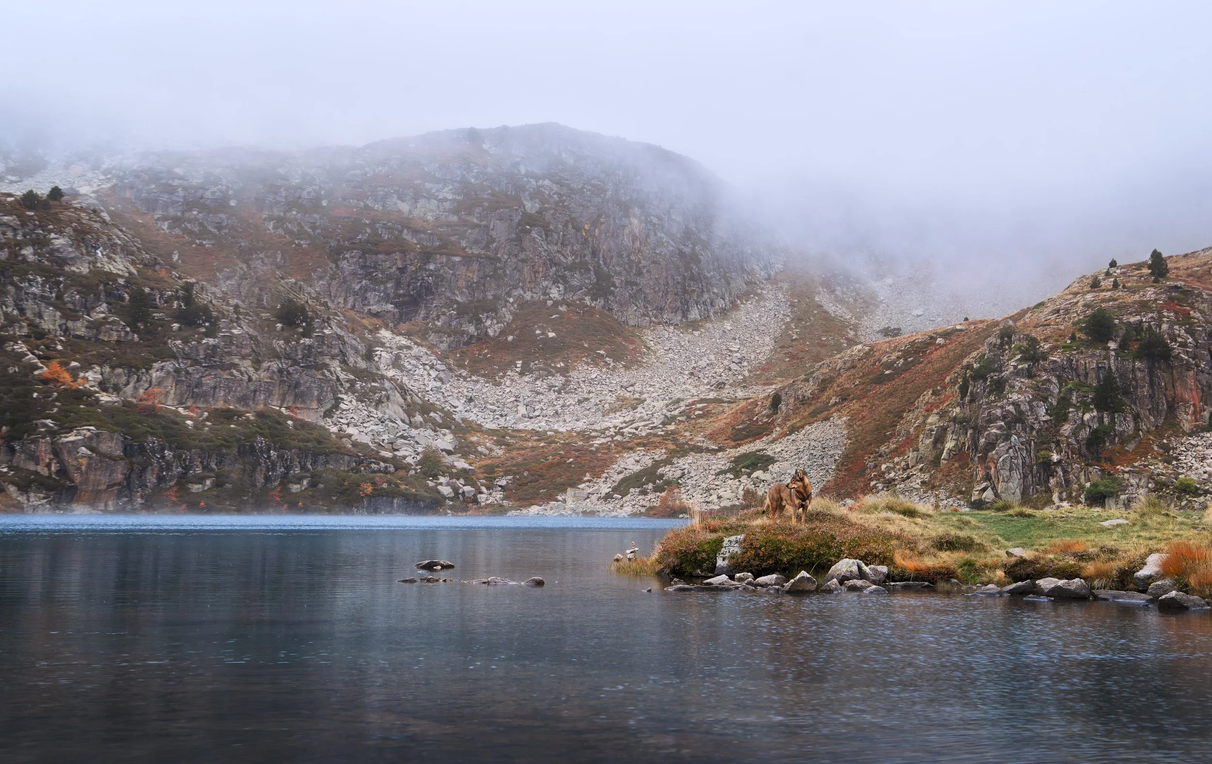 _A749897-HD.jpg