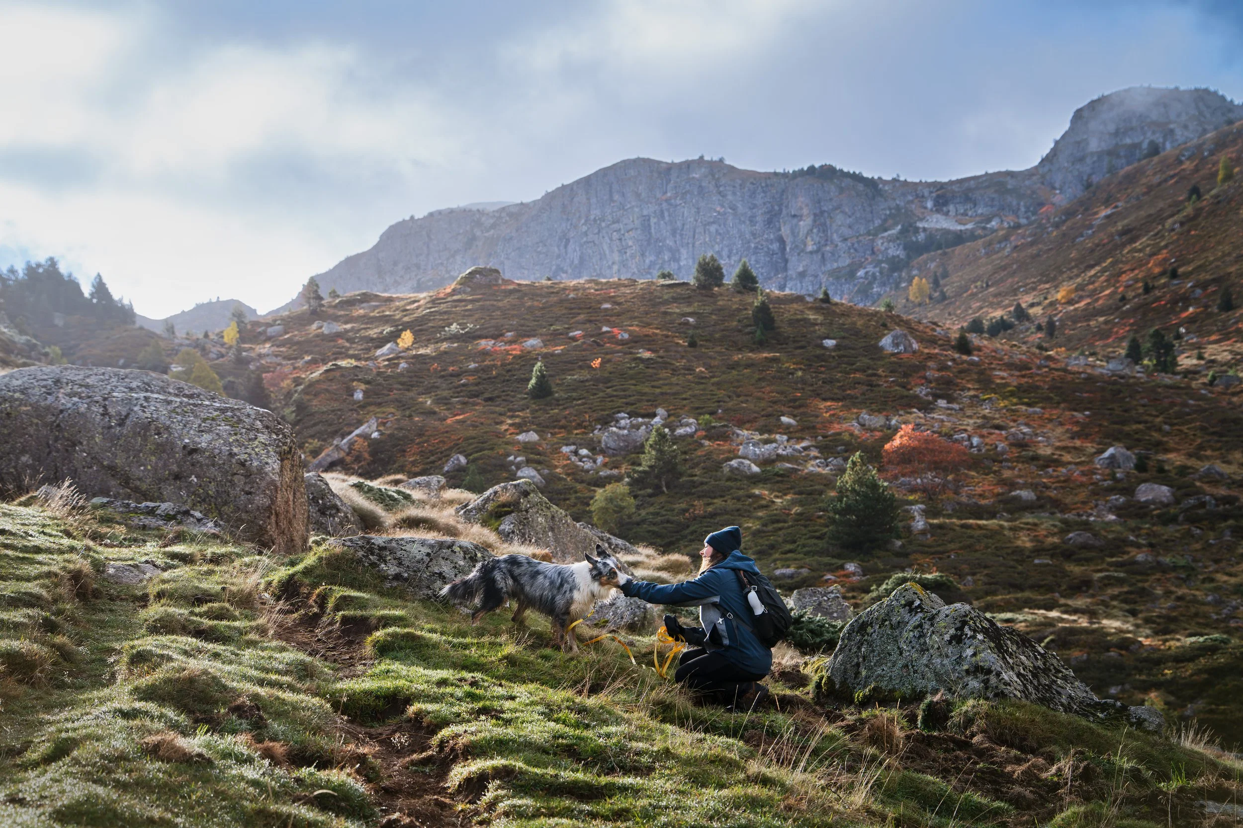 _A748669-HD.jpg