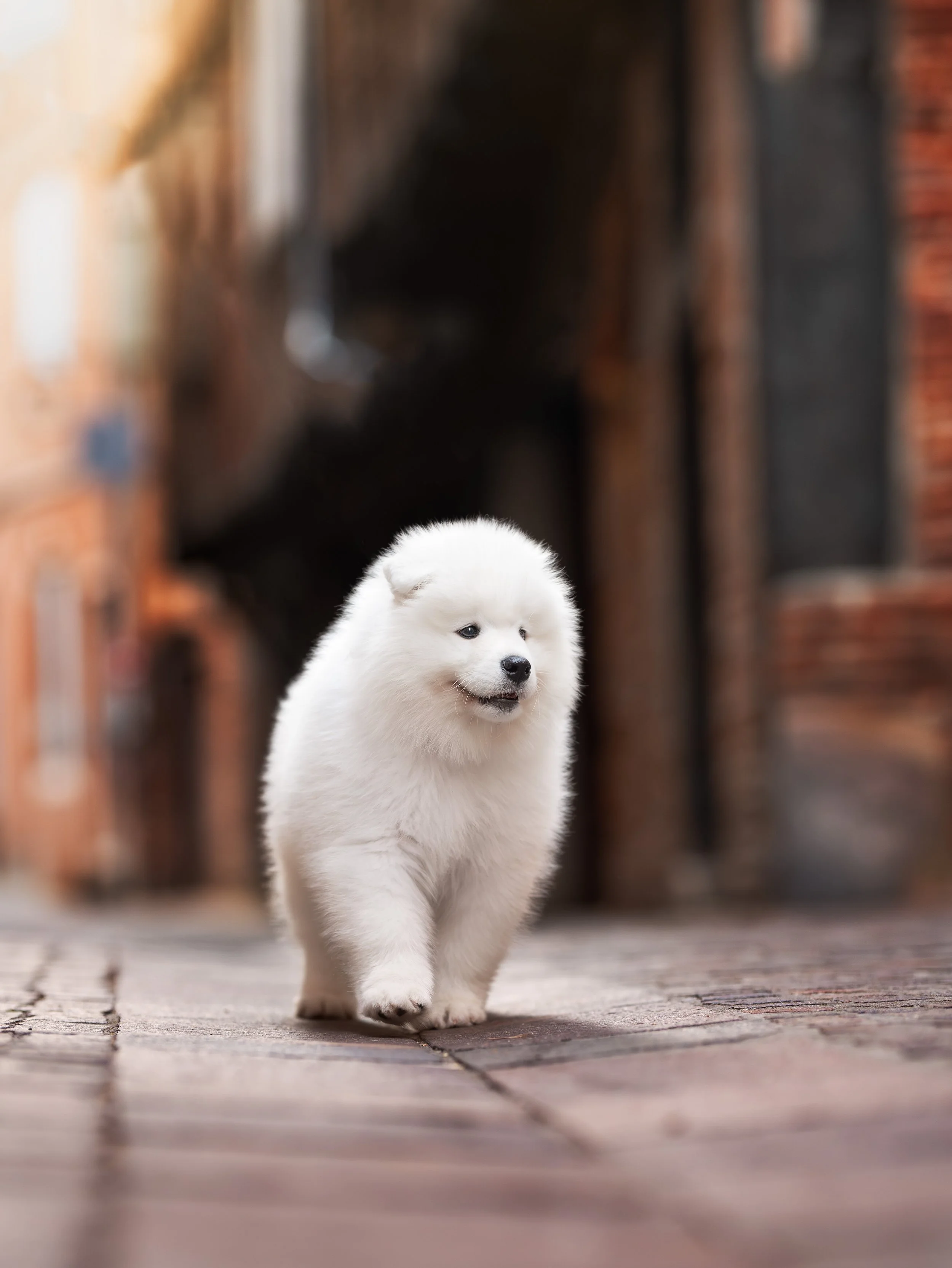 A7400153-HD.jpg