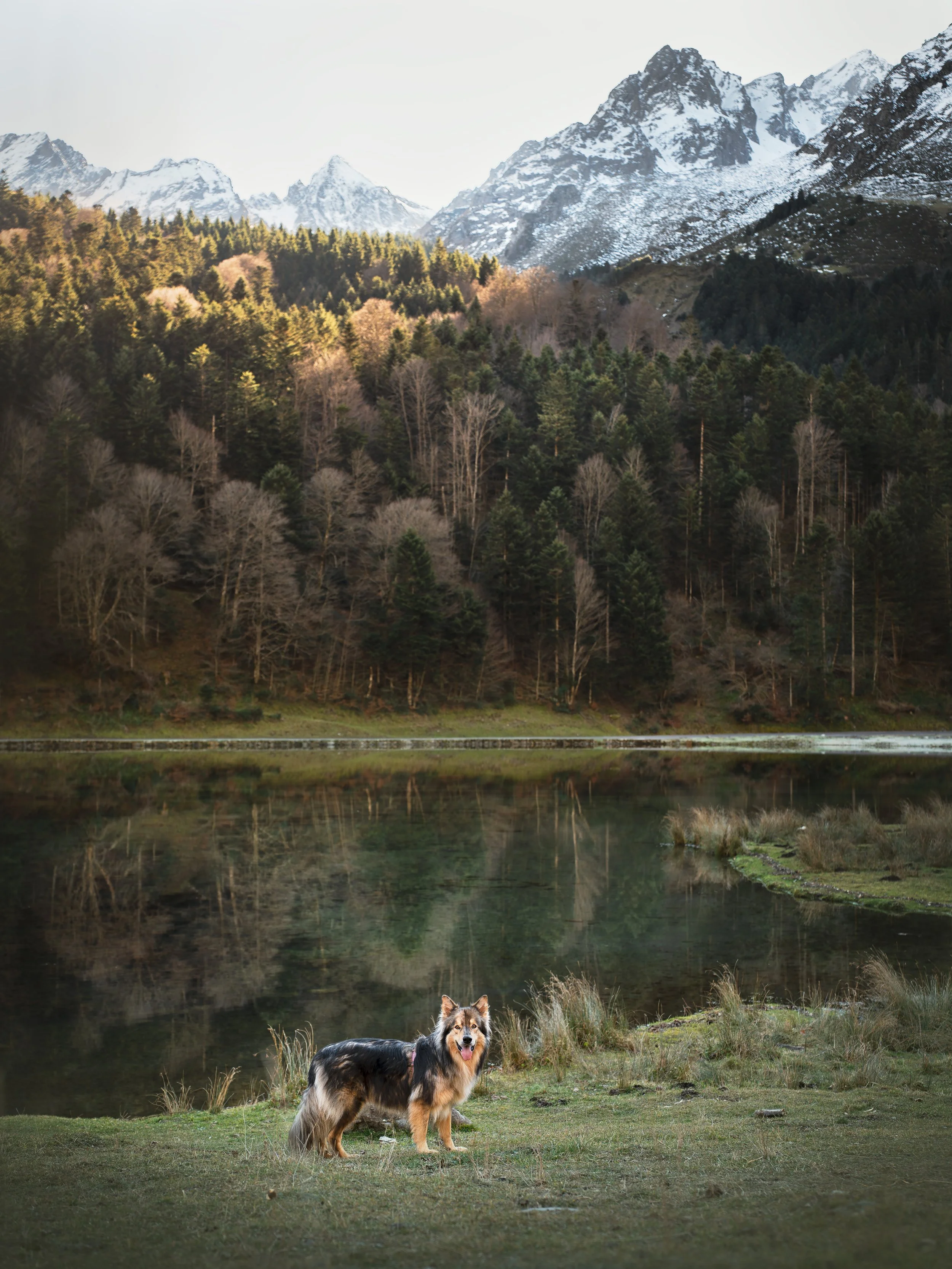 _A740172-HD.jpg