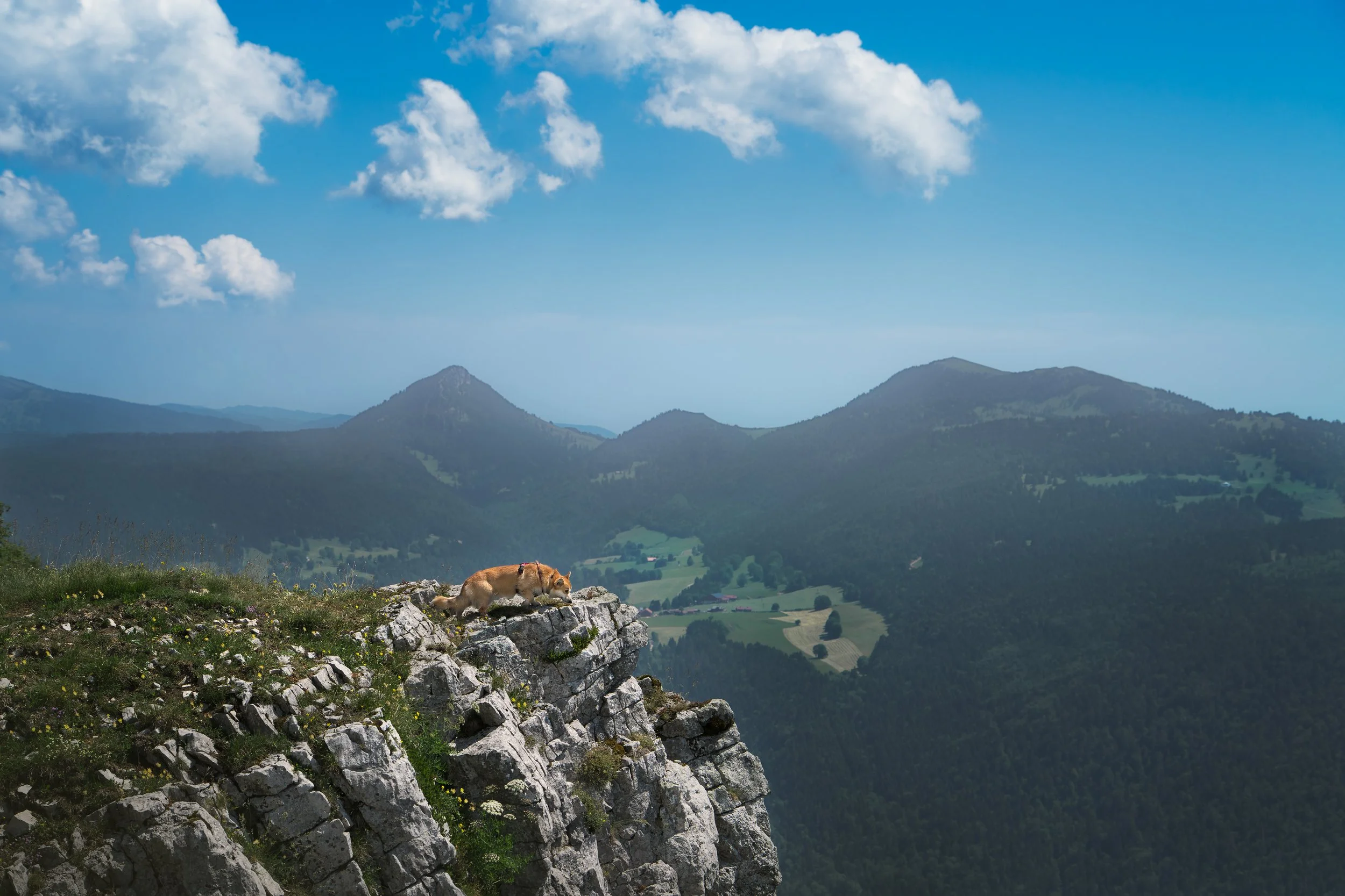 _A744300-HD.jpg