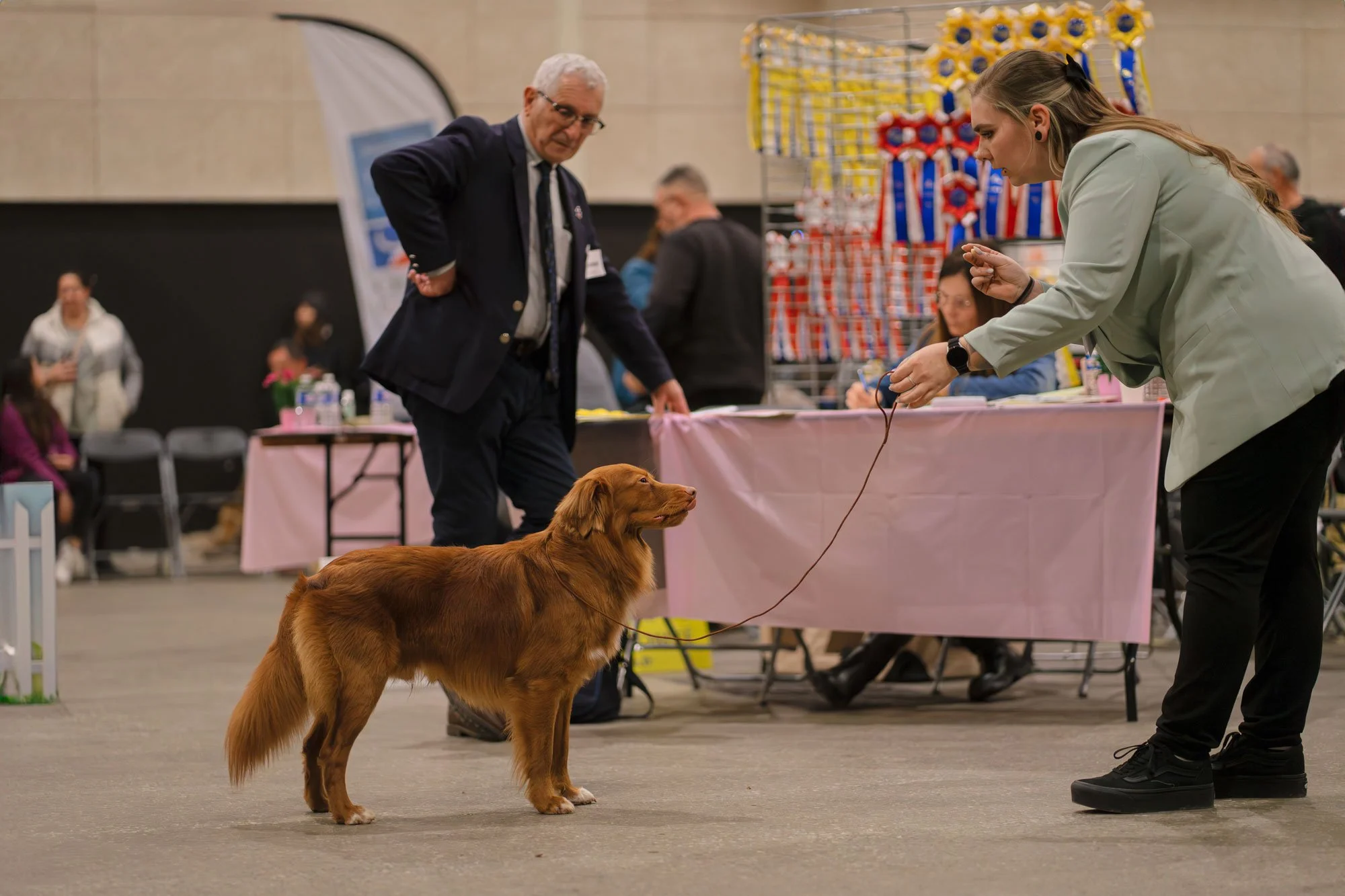 _DSC5343-HD.jpg