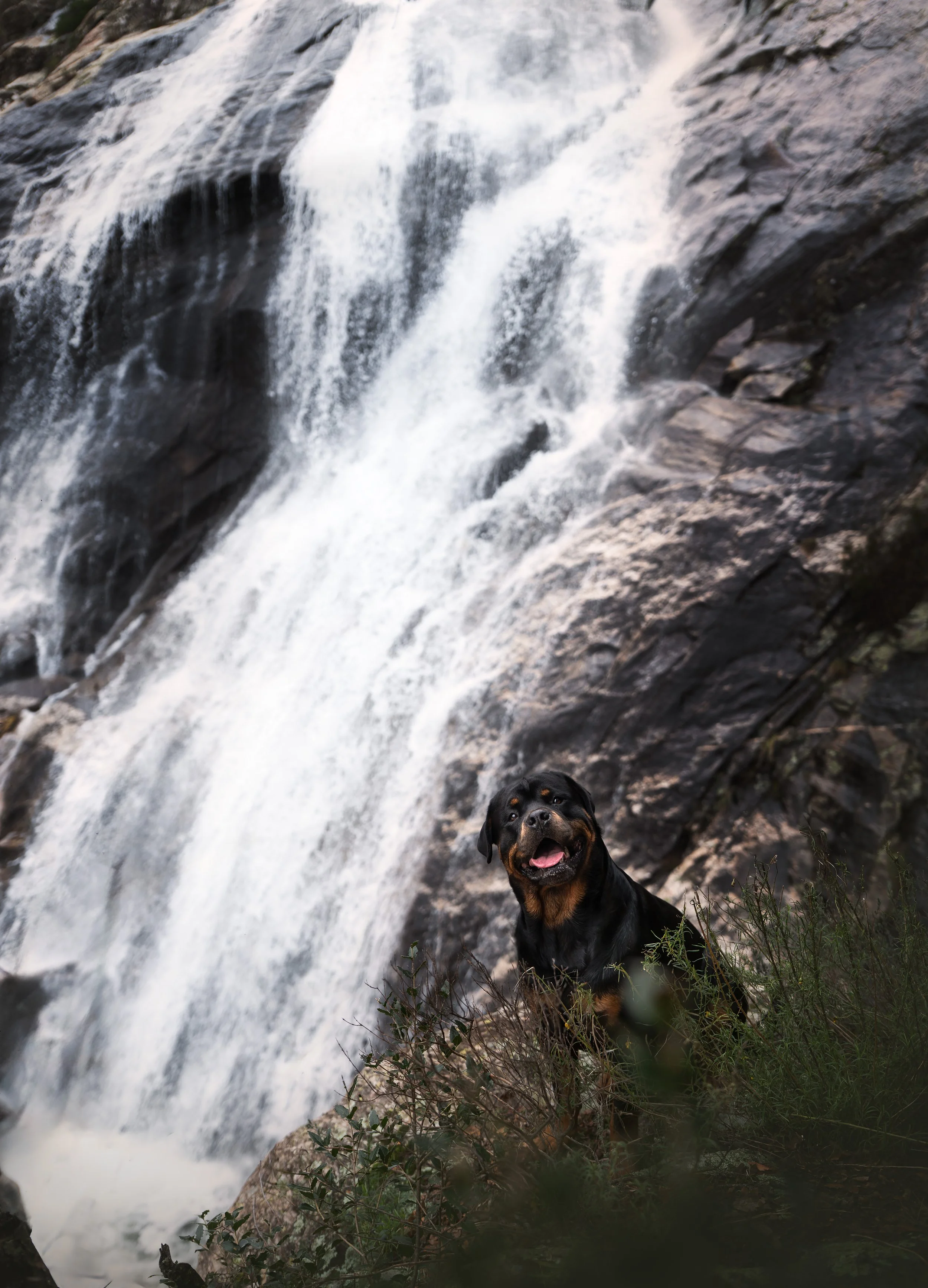 _A742941-HD.jpg