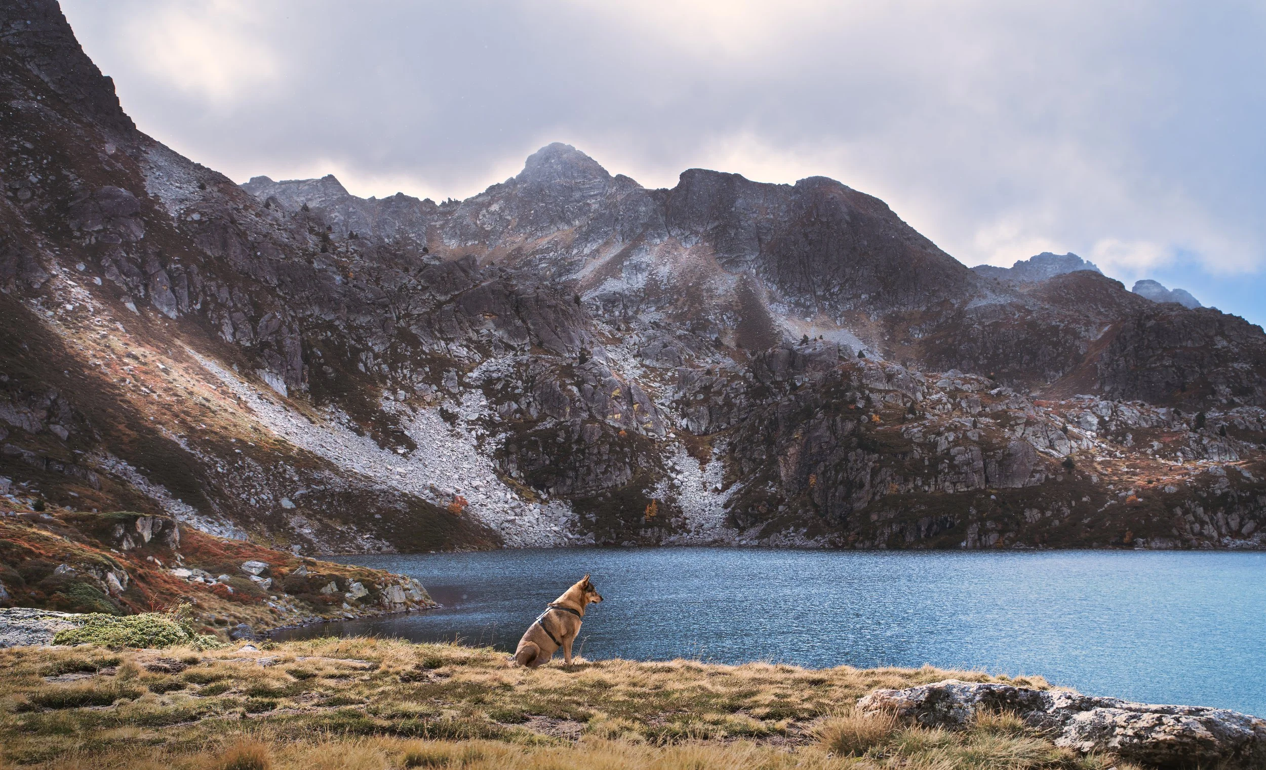 _A749459-HD.jpg