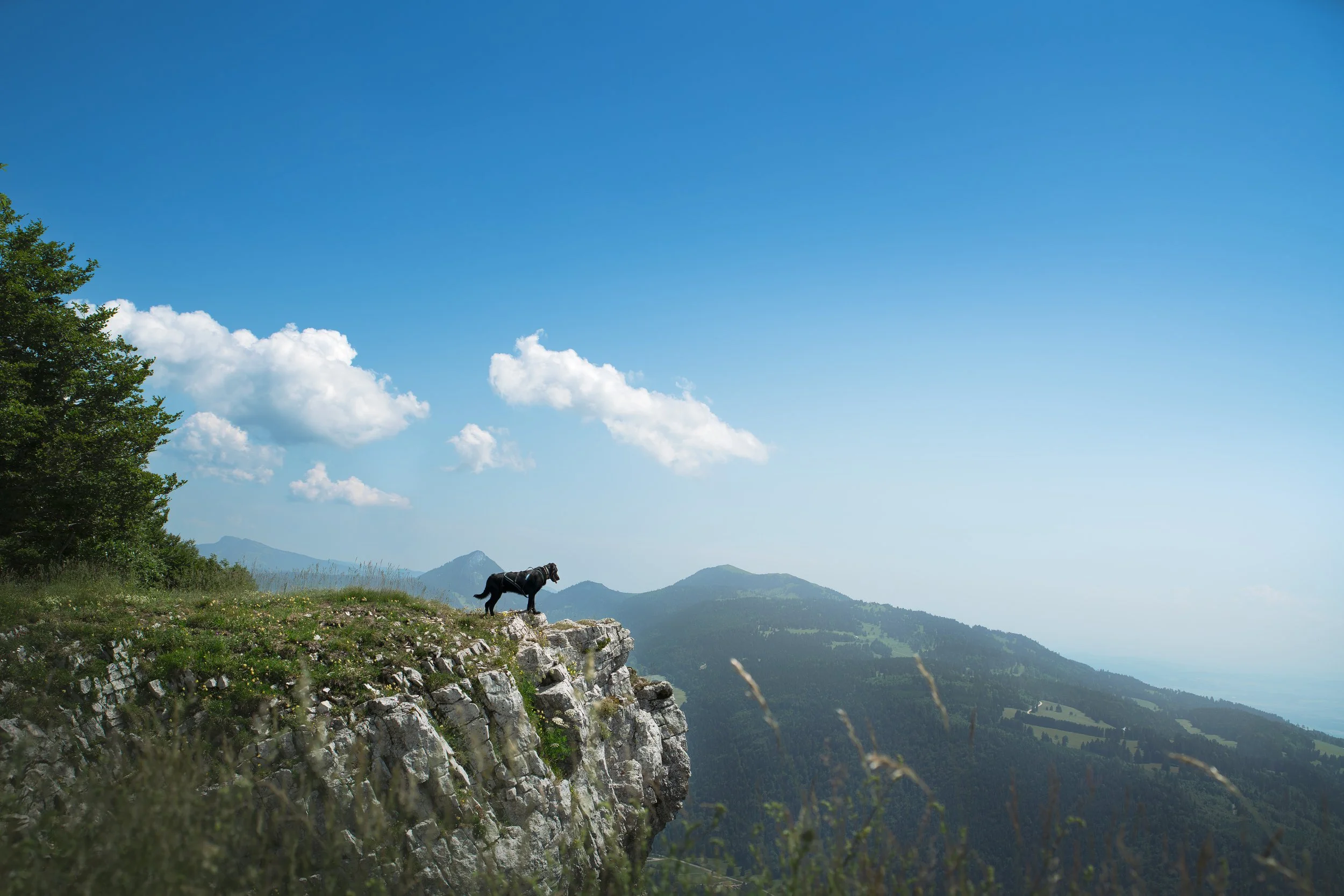 _A744260-HD.jpg