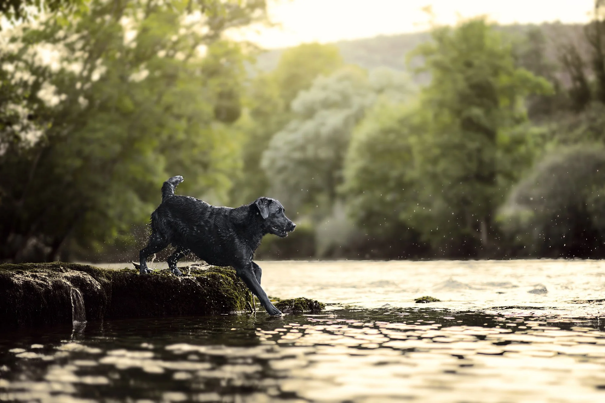 _A743322-HD.jpg