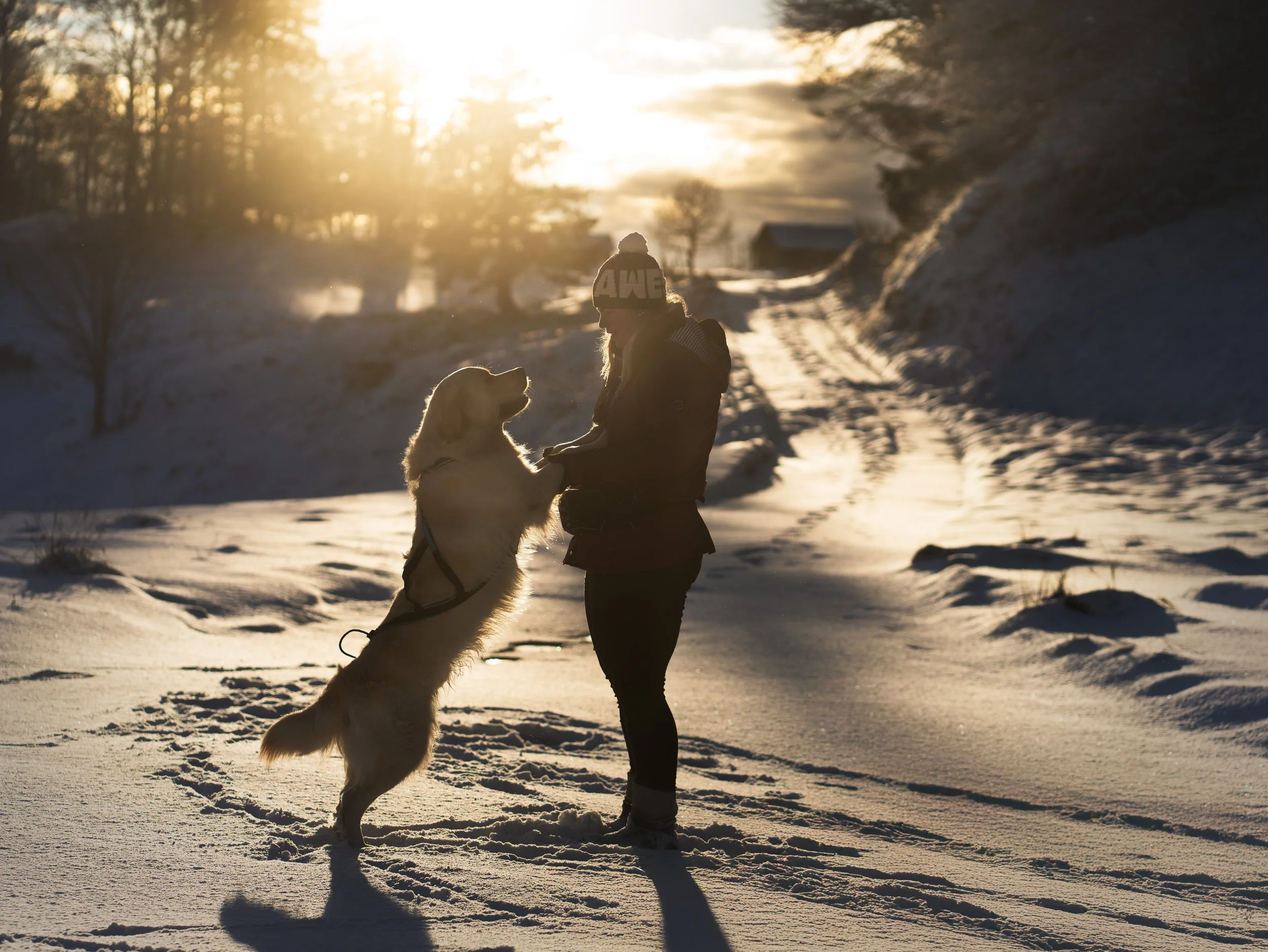 _A745048-HD.jpg