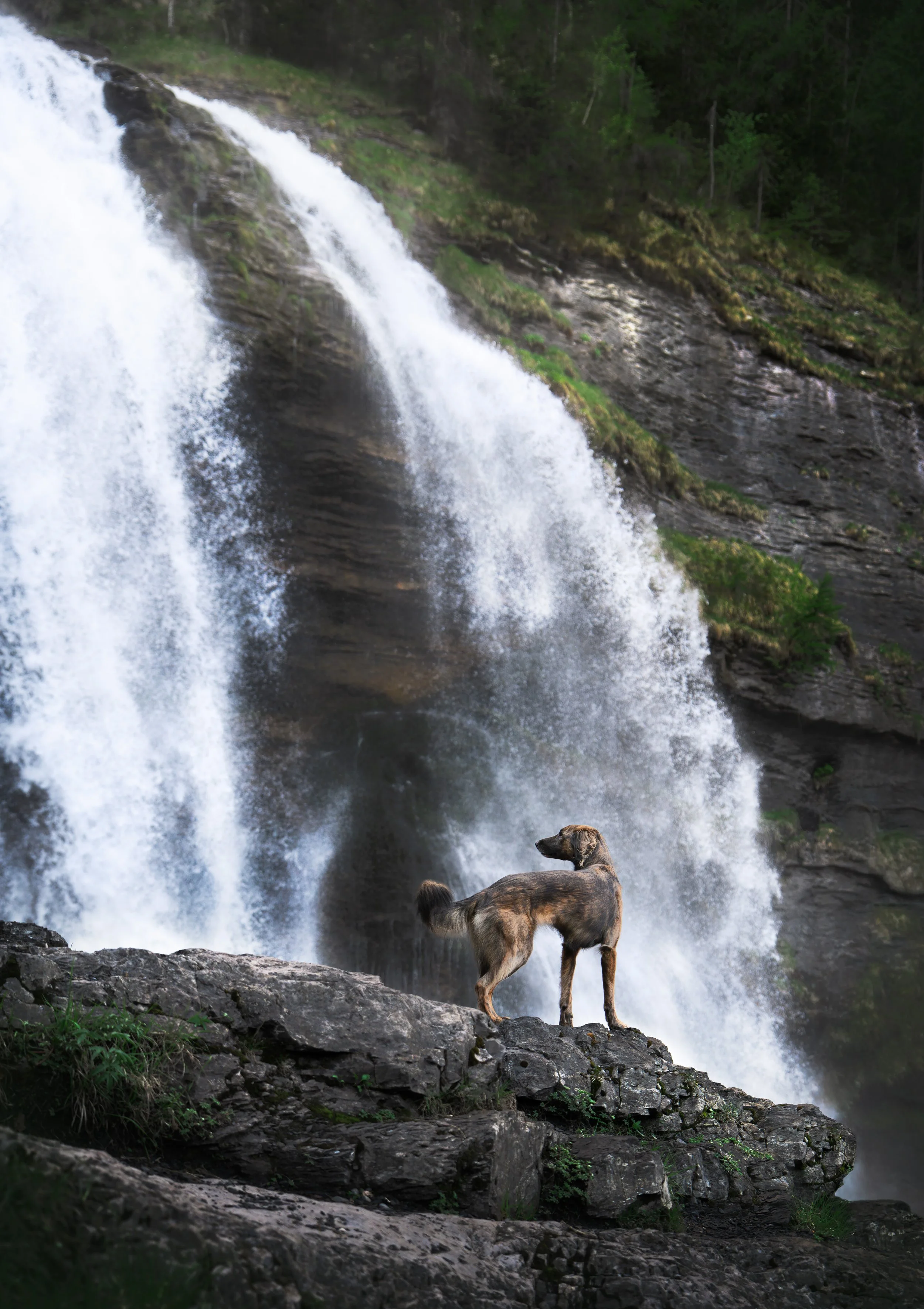_A744059-HD.jpg