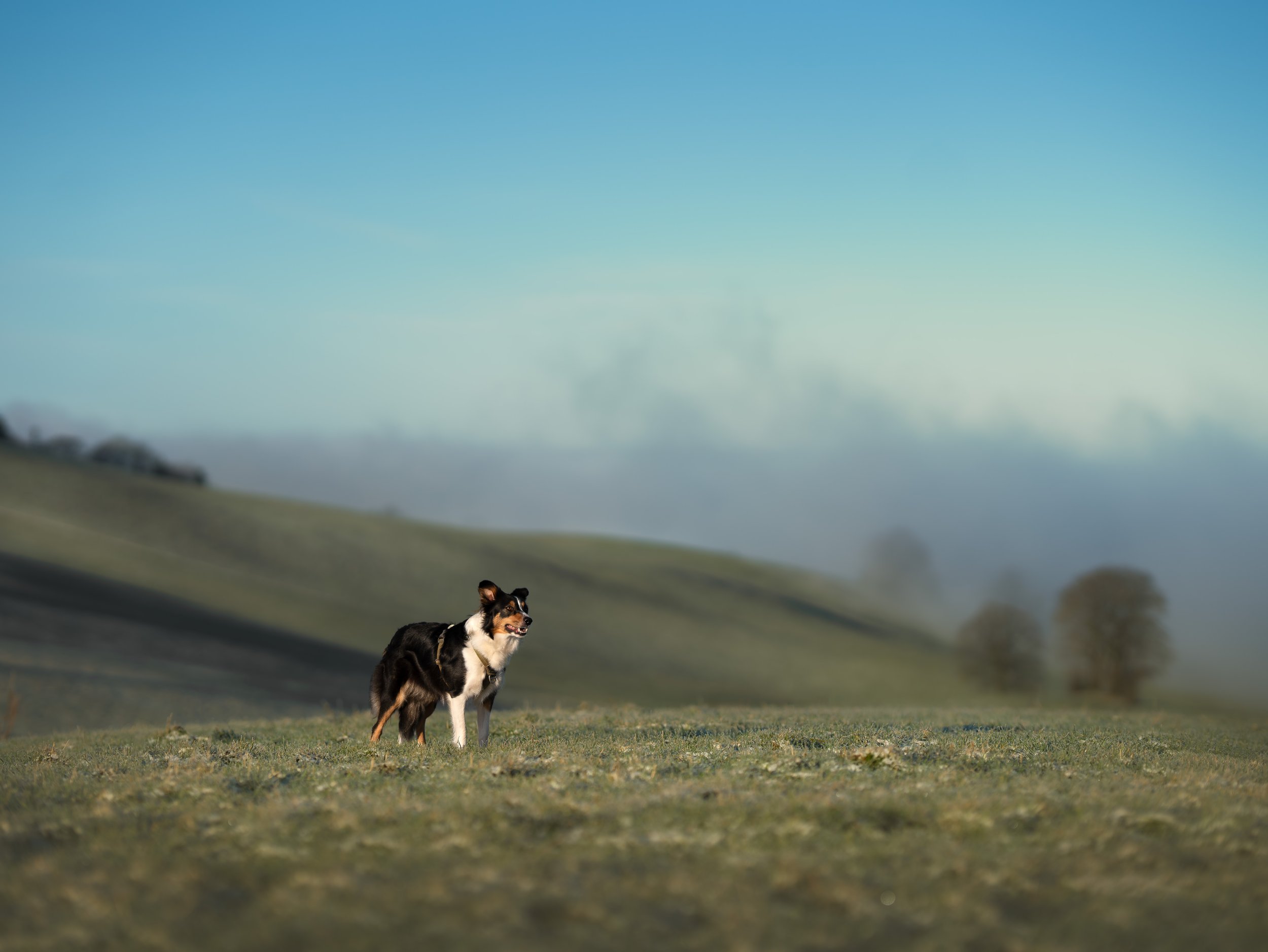 _A746587-HD.jpg