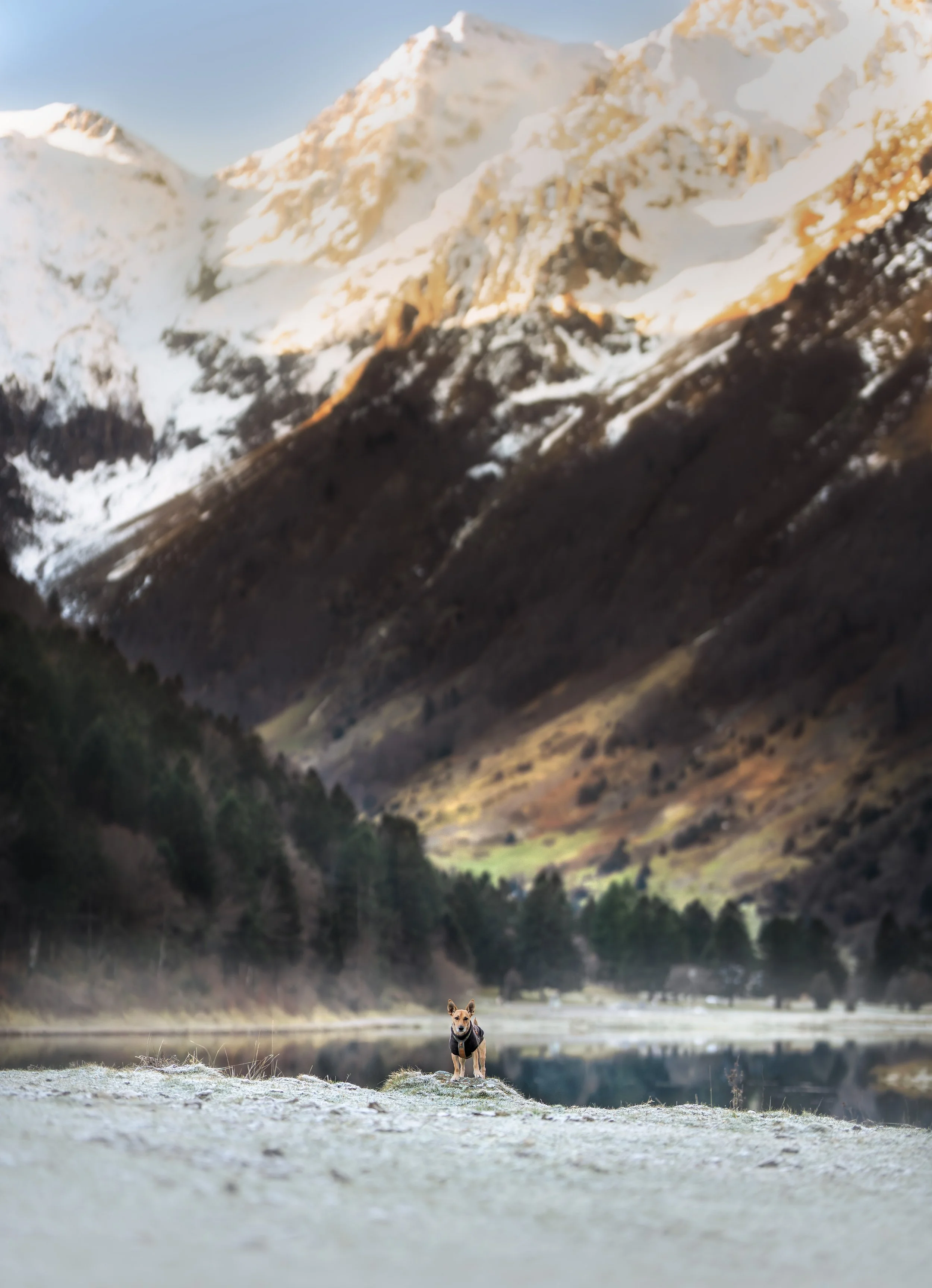 _A745232-HD.jpg