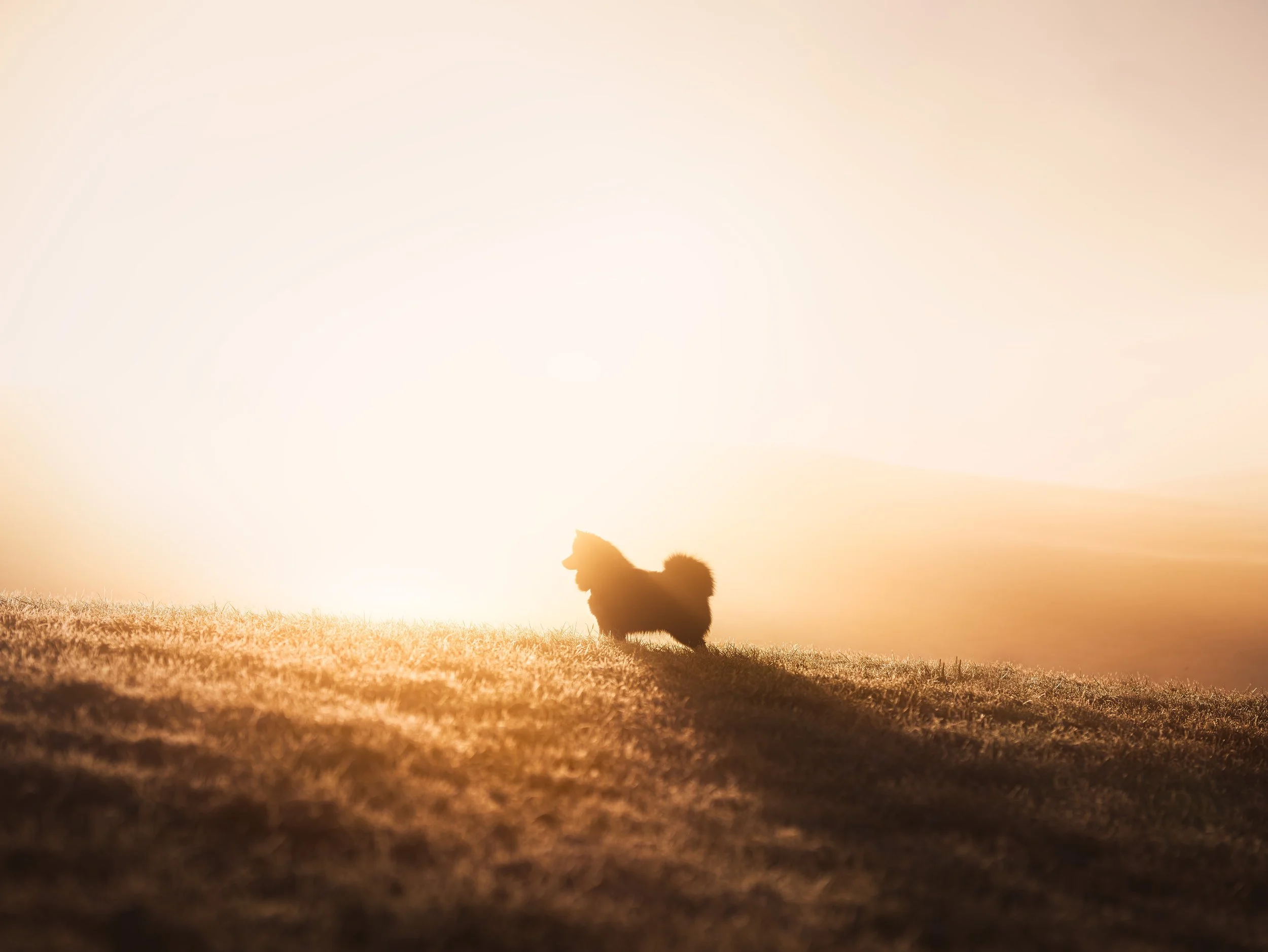 _A746343-HD.jpg