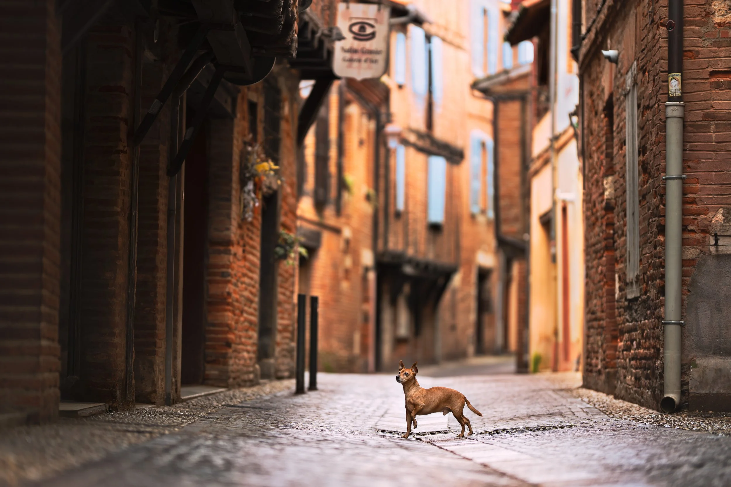 _A742443-HD.jpg