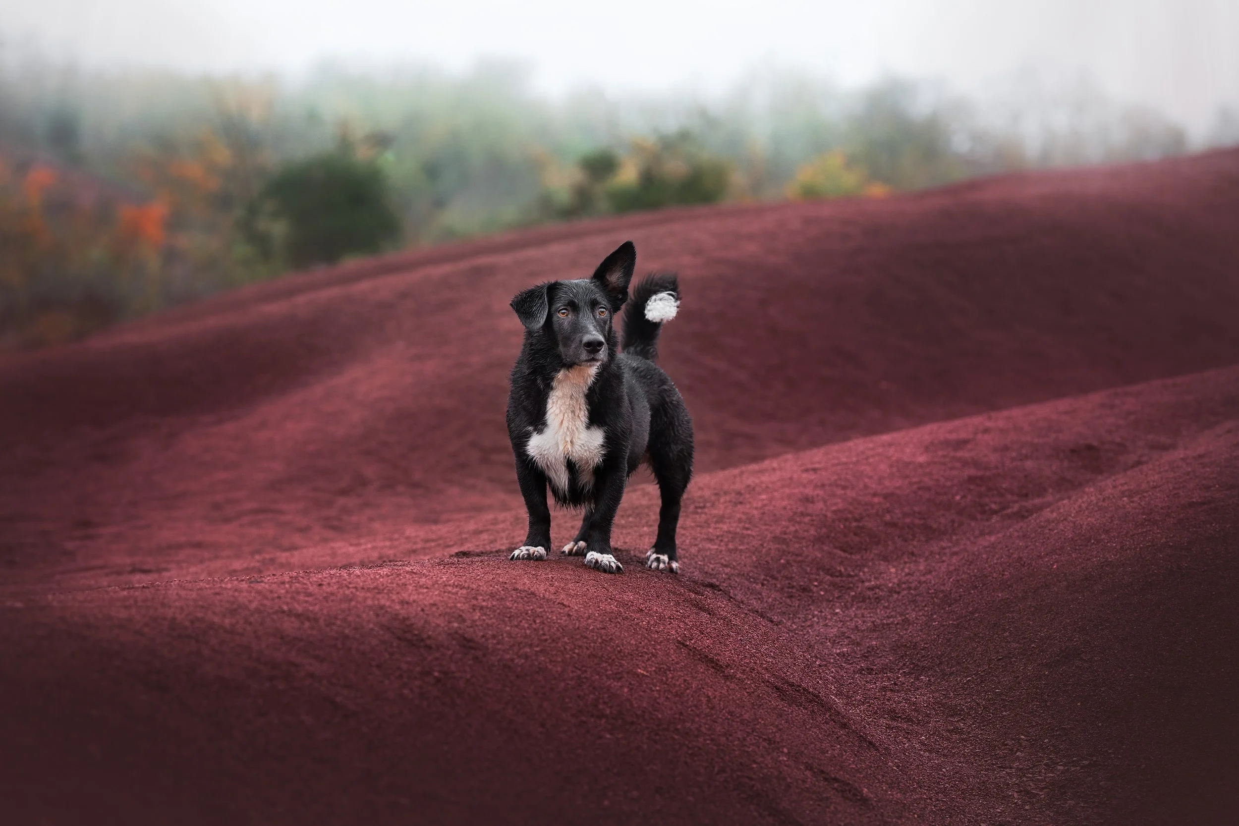 _A744024-HD.jpg